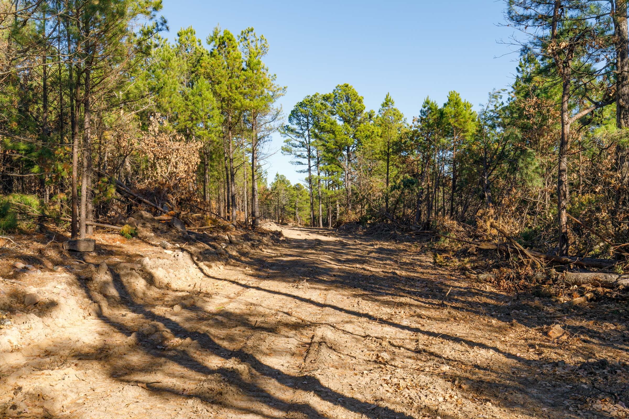 Stone Bridge Phase II Tract 91 photo 1