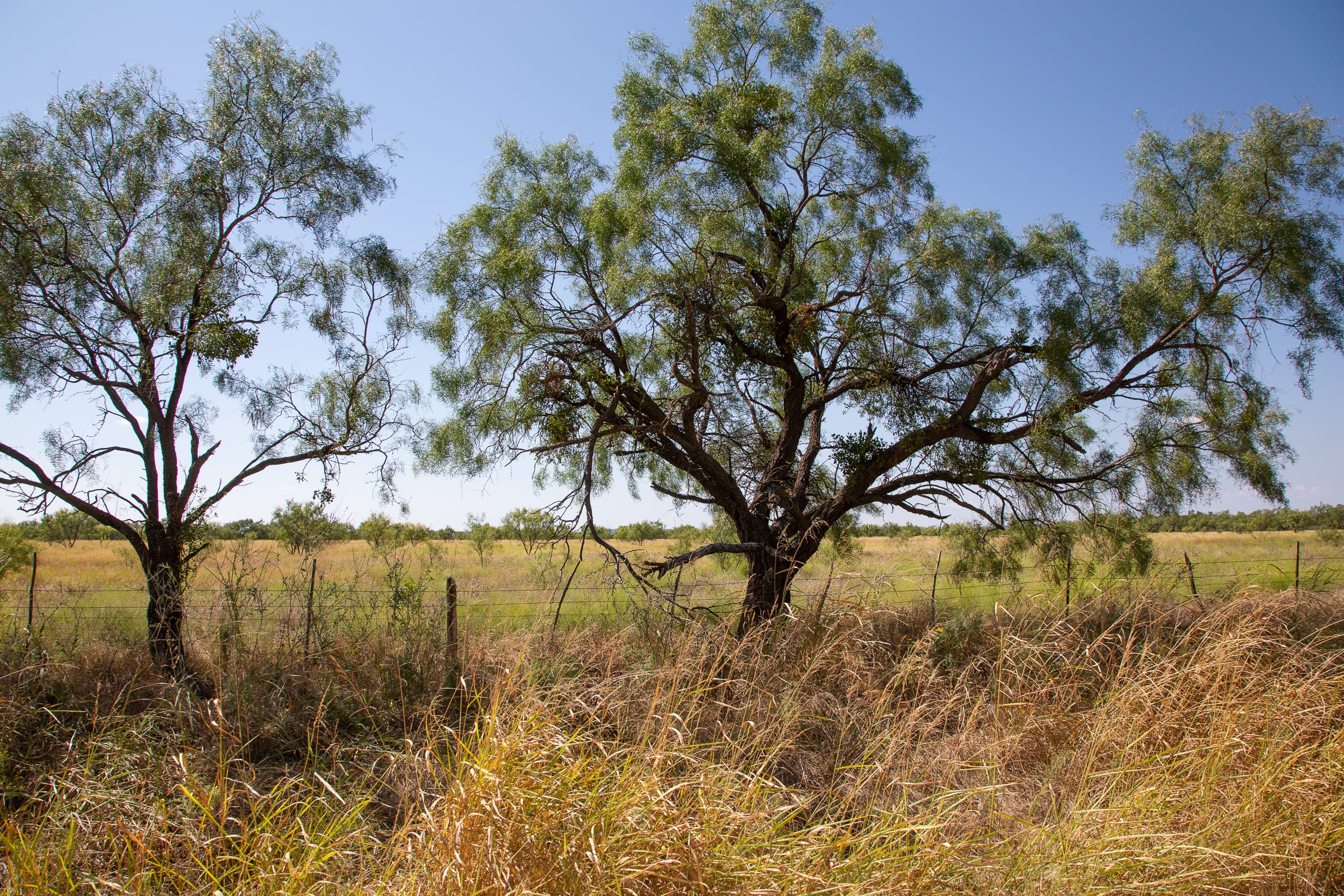 Hunter’s Ranch Tract 8 photo 1