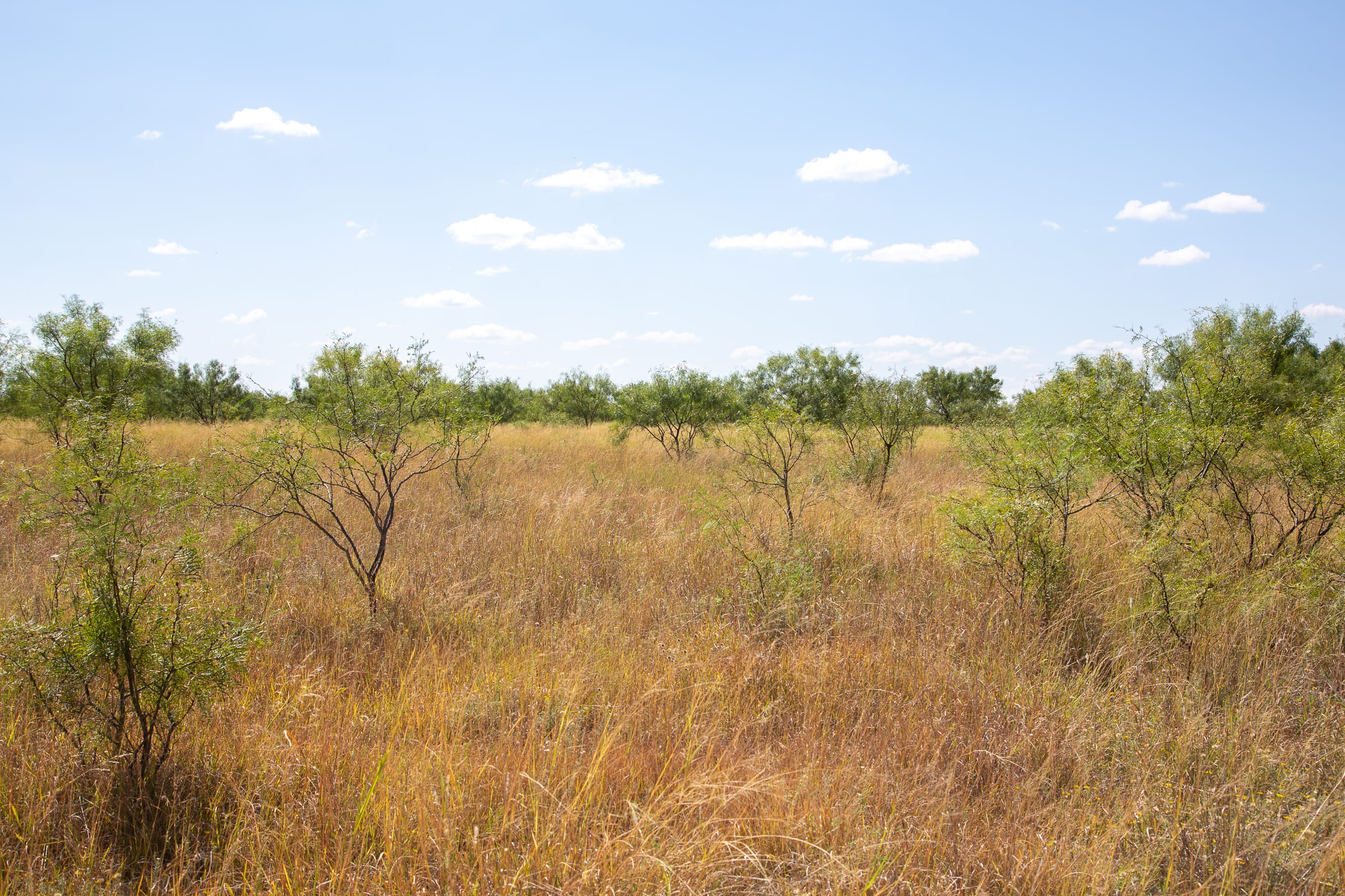 Hunter’s Ranch Tract 8 photo 3