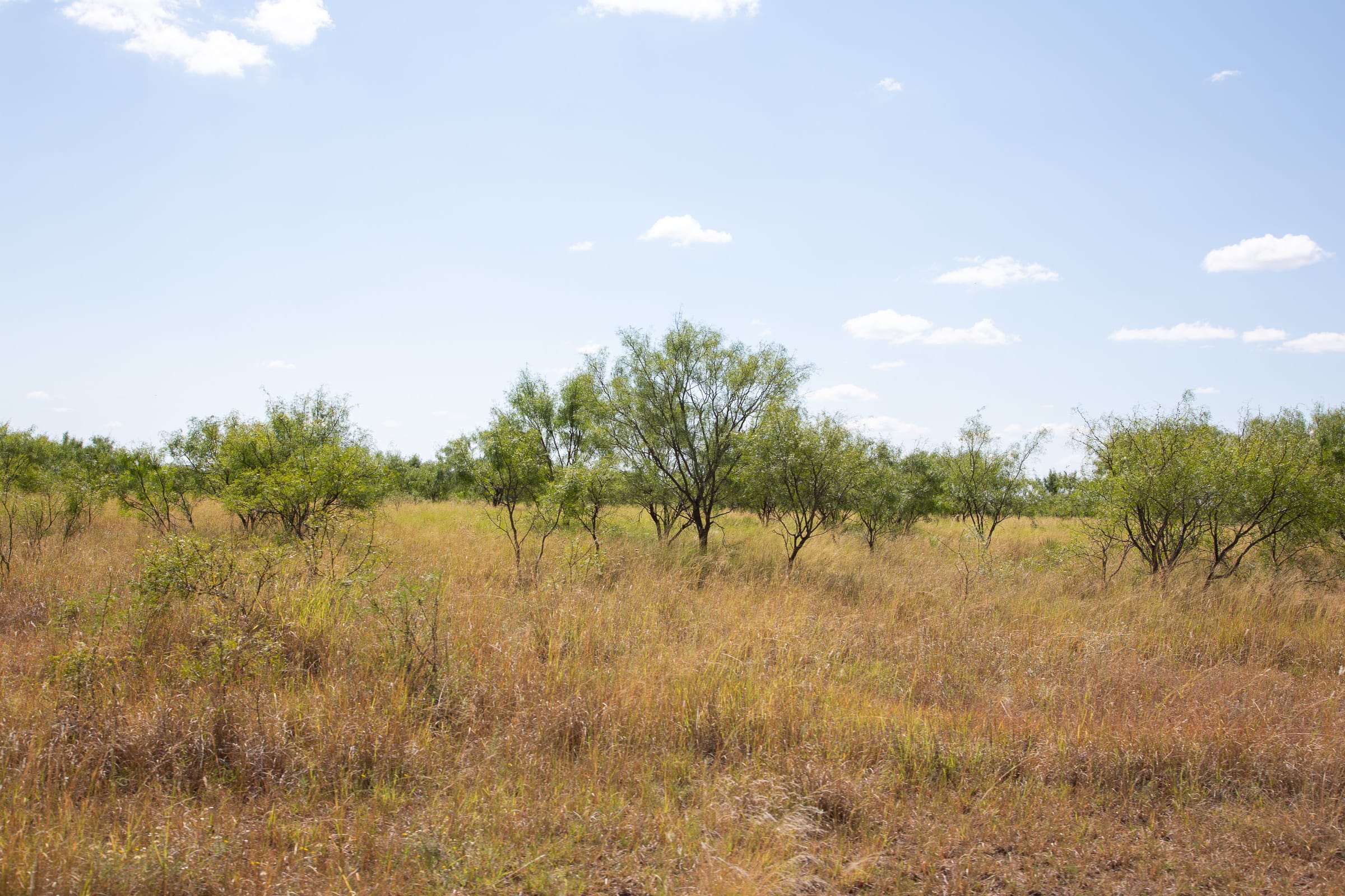 Hunter’s Ranch Tract 8 photo 4