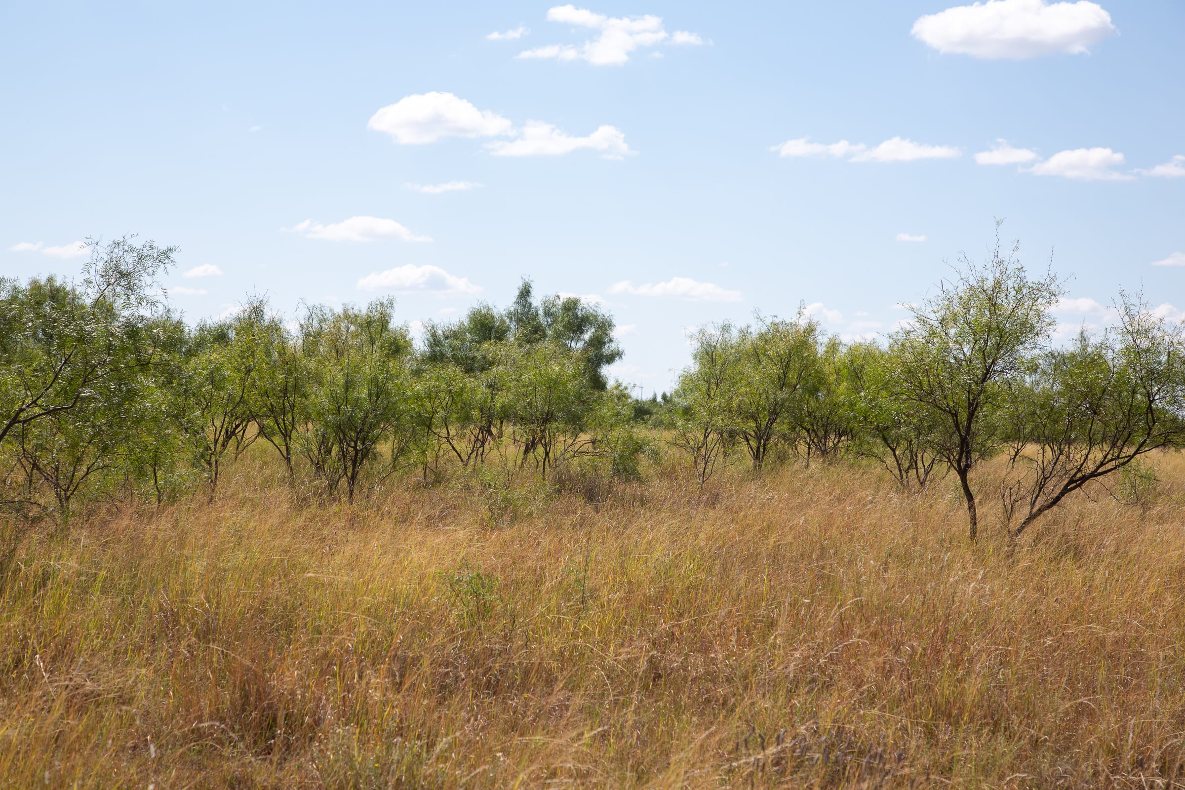 Hunter’s Ranch Tract 8 photo 5