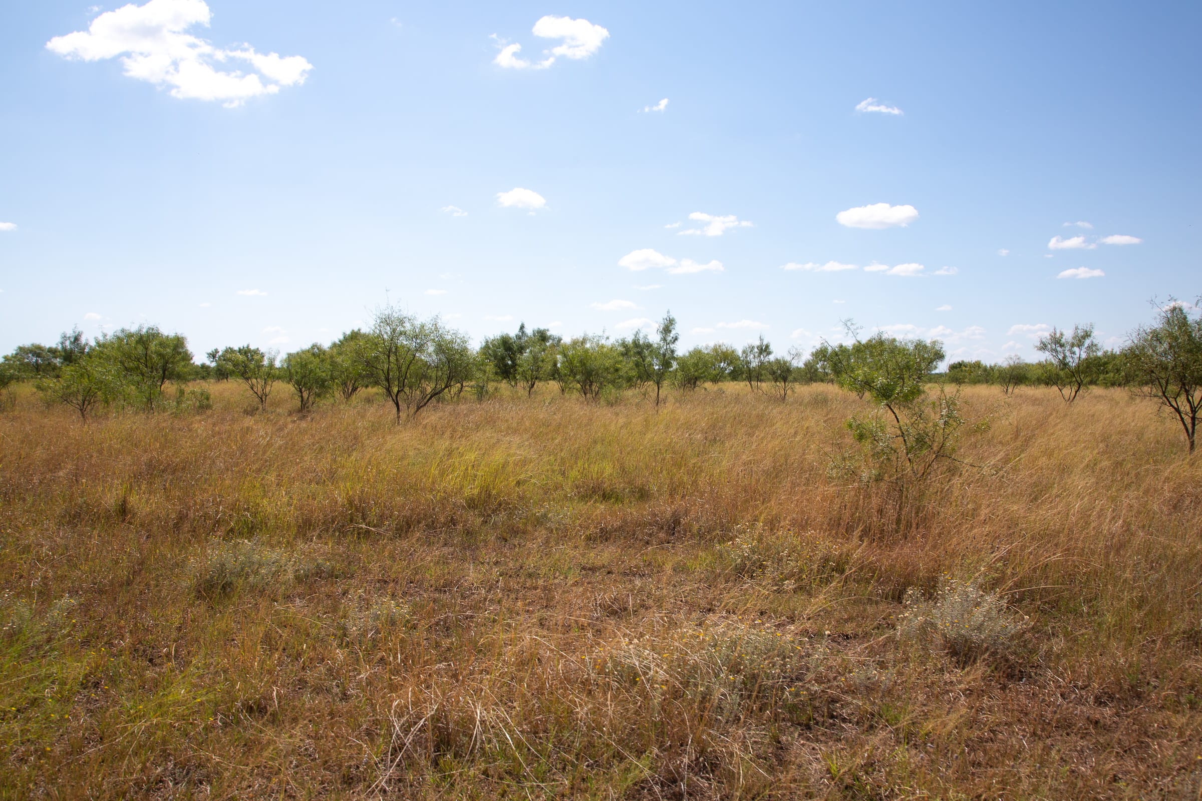 Hunter’s Ranch Tract 8 photo 6