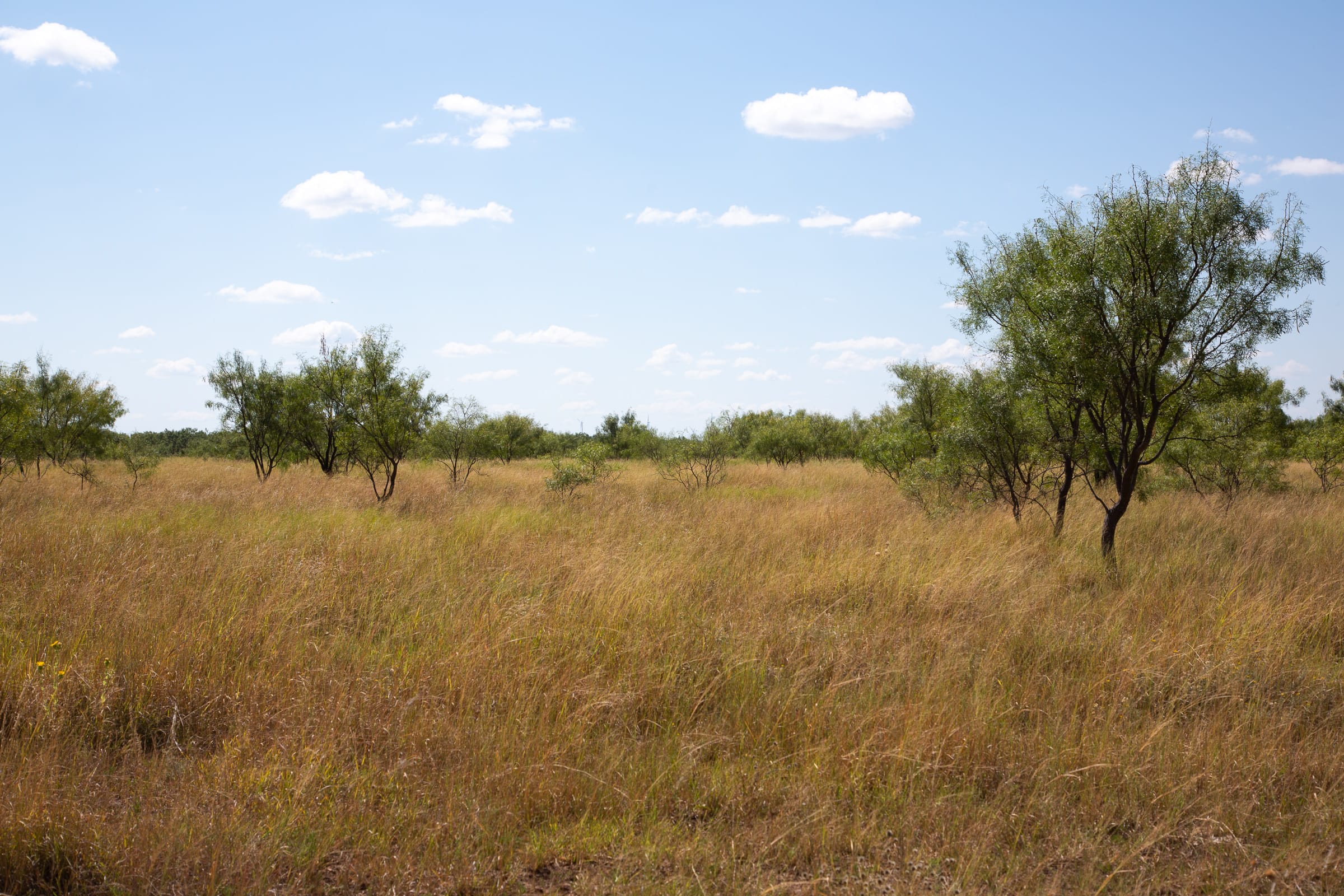 Hunter’s Ranch Tract 8 photo 7