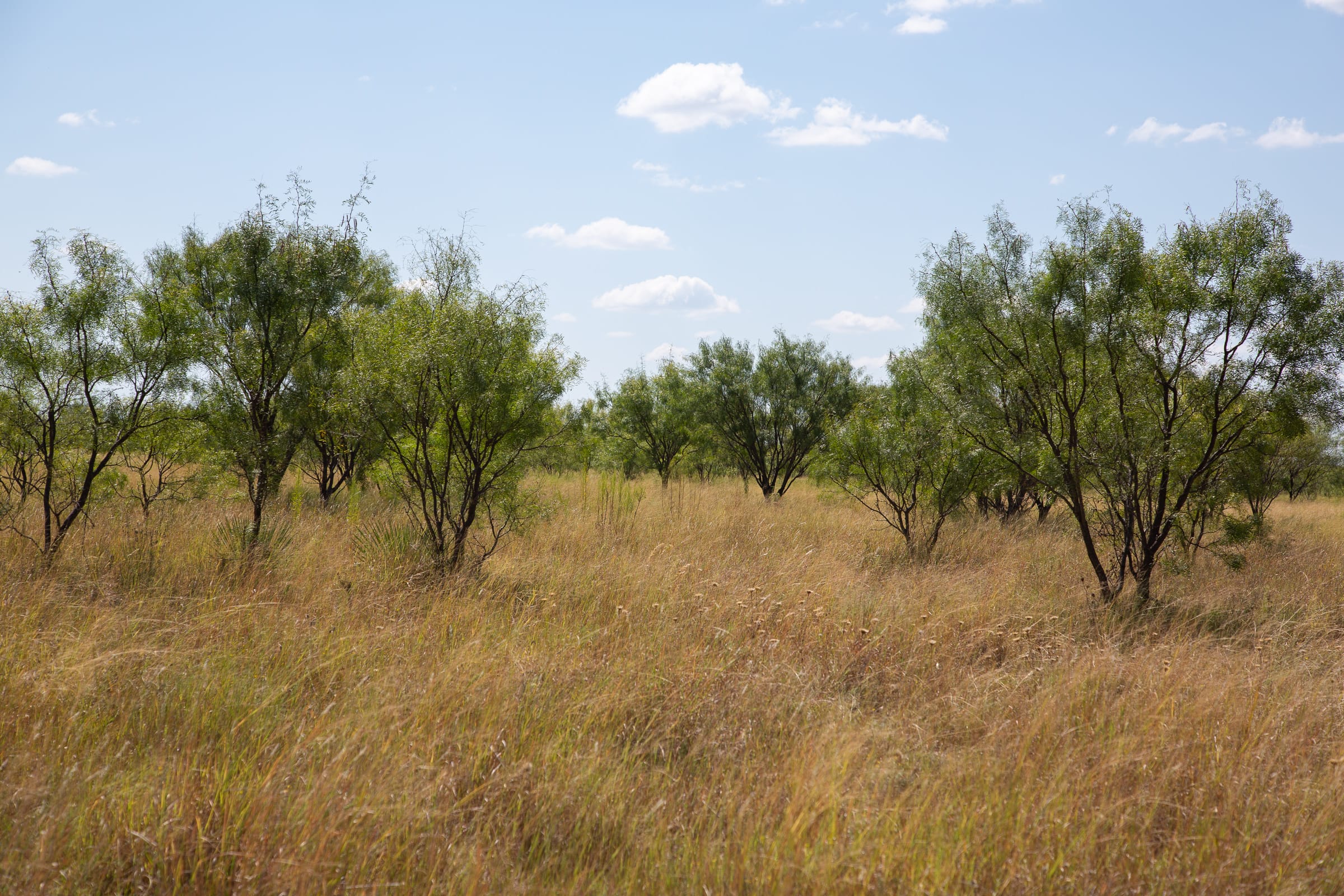 Hunter’s Ranch Tract 8 photo 8