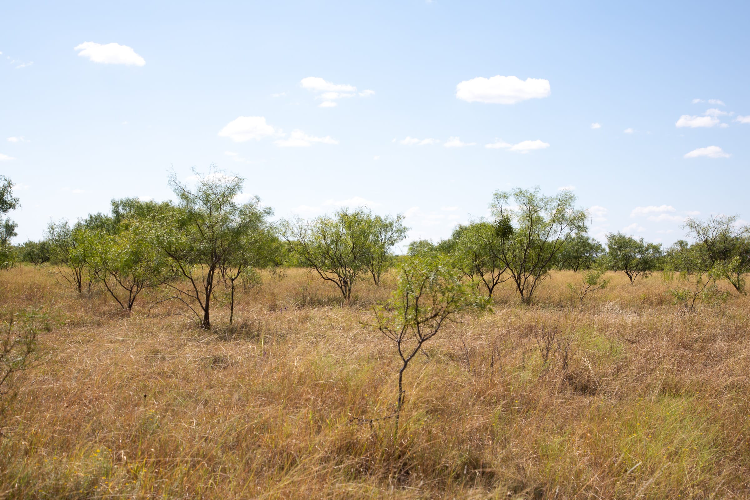 Hunter’s Ranch Tract 8 photo 9