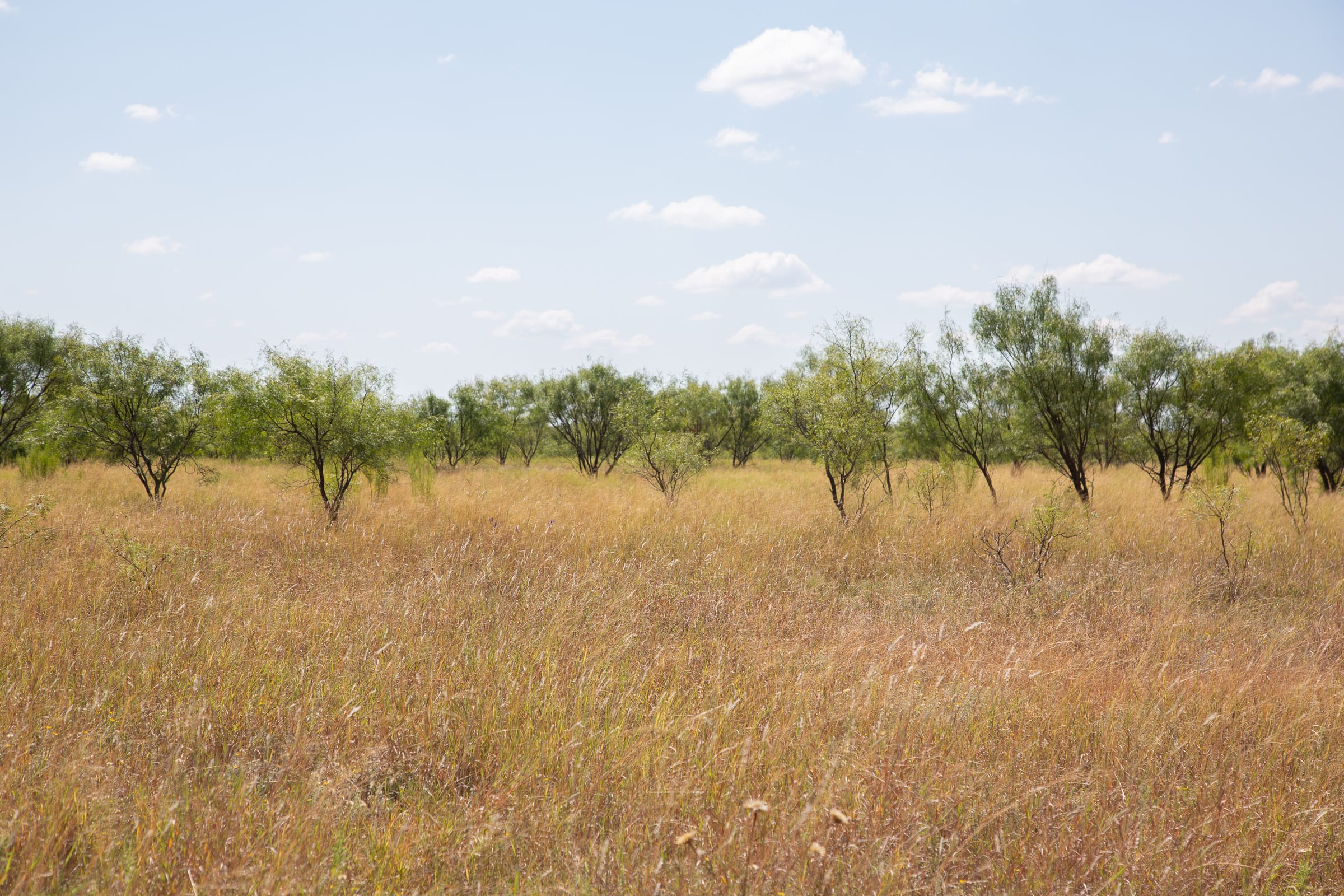 Hunter’s Ranch Tract 8 photo 11