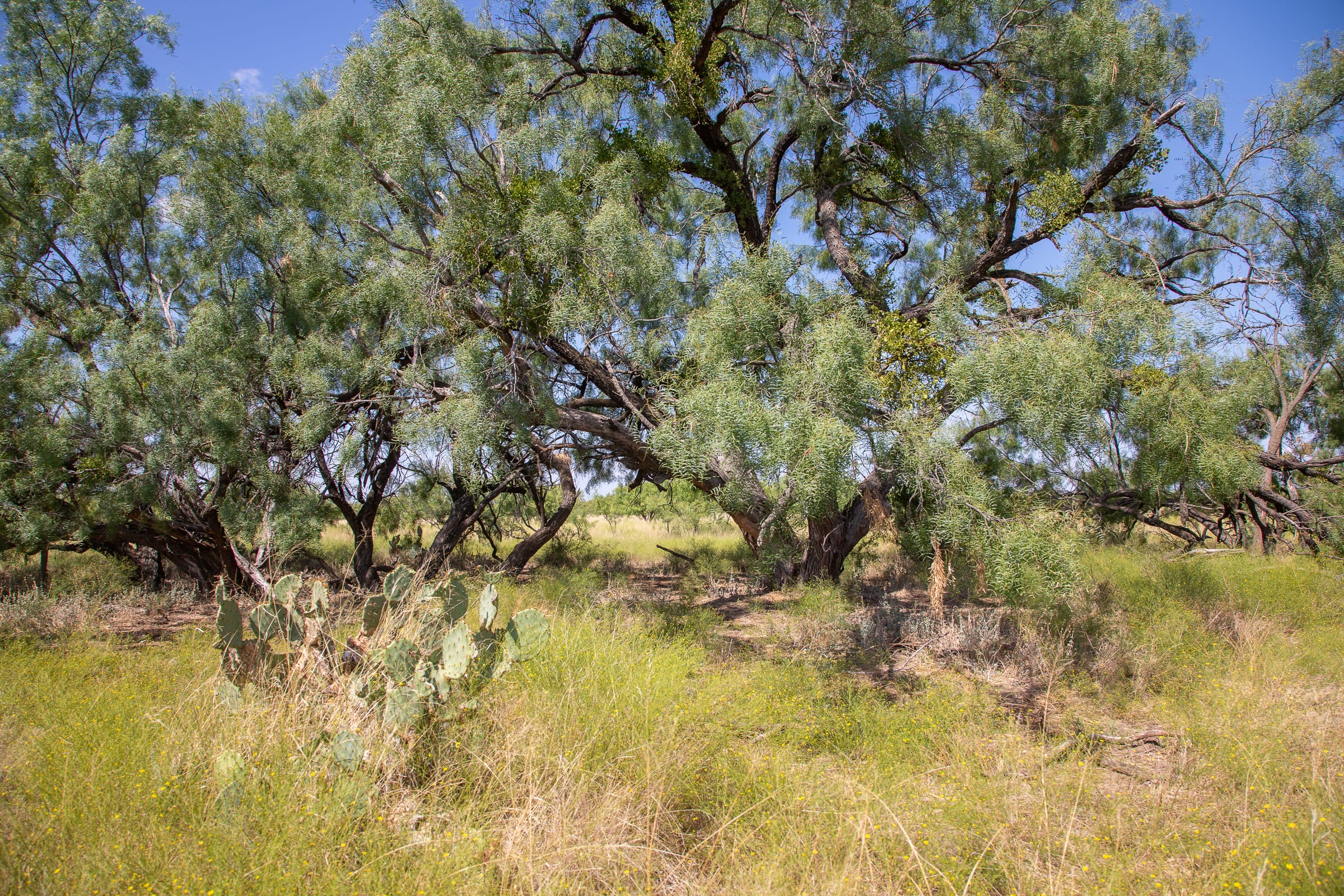Hunter’s Ranch Tract 8 photo 12