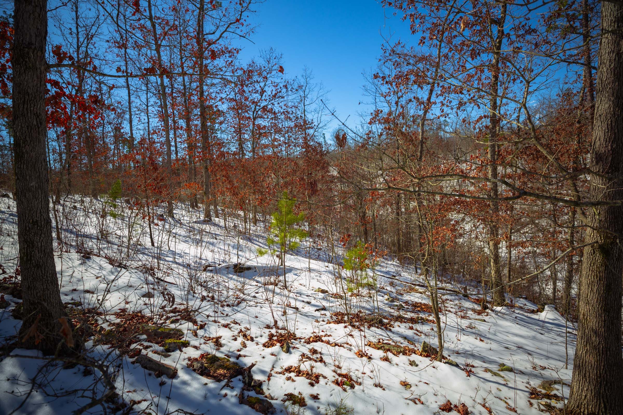 Sleepy Hollow Phase I Tract 27 photo 14