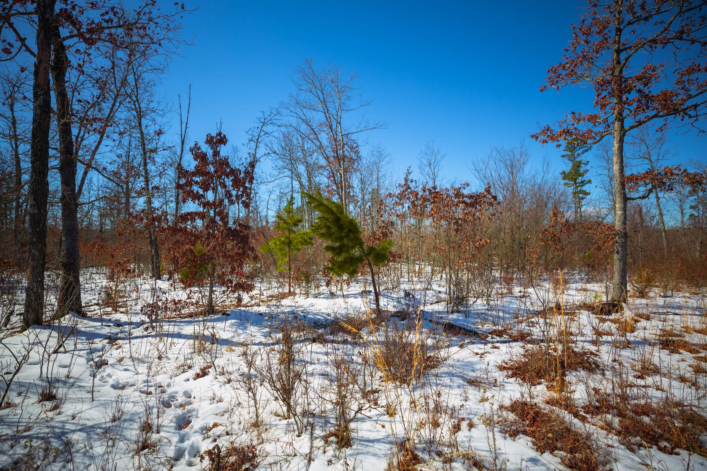 Sleepy Hollow Phase I Tract 27 photo 6