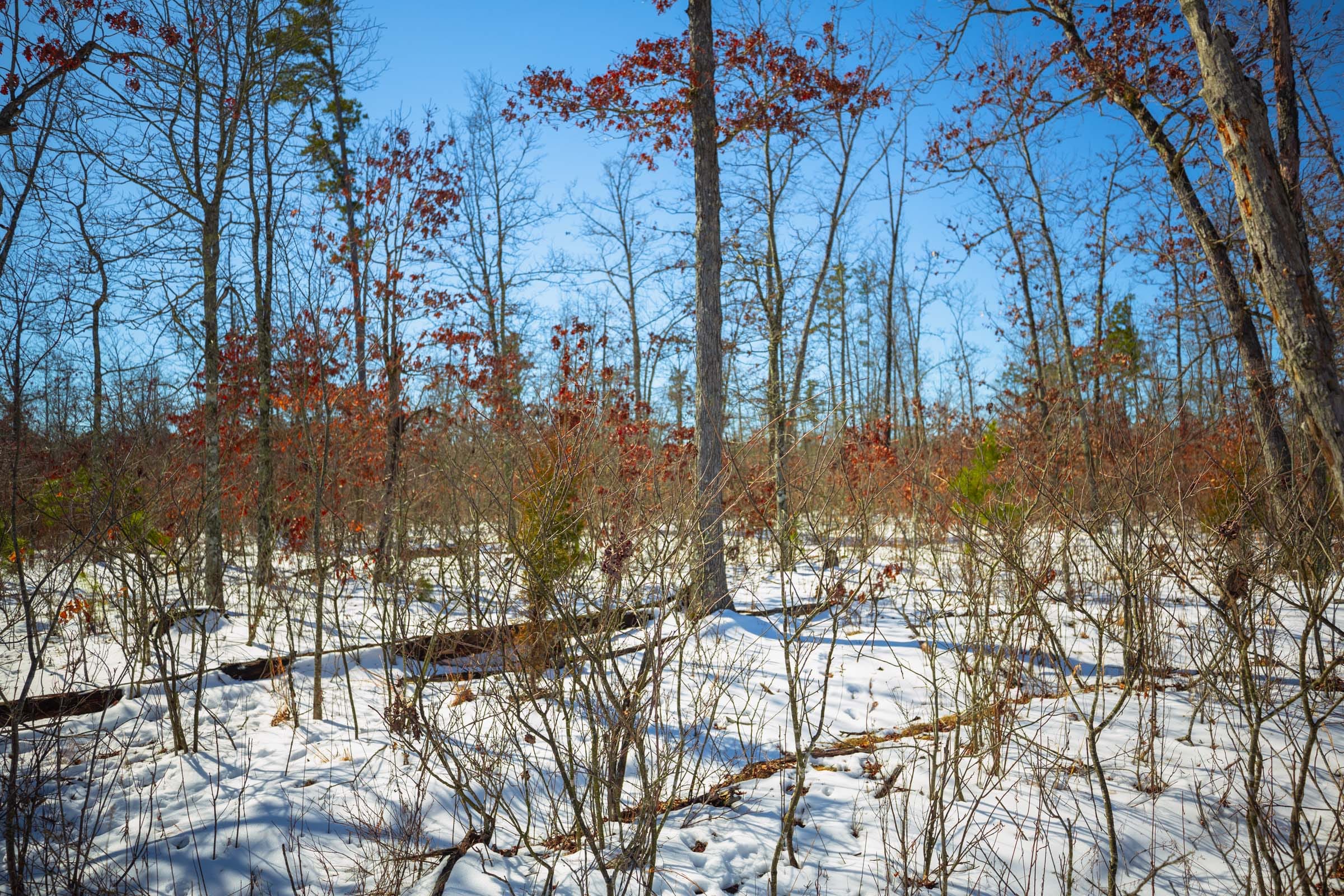 Sleepy Hollow Phase I Tract 27 photo 7