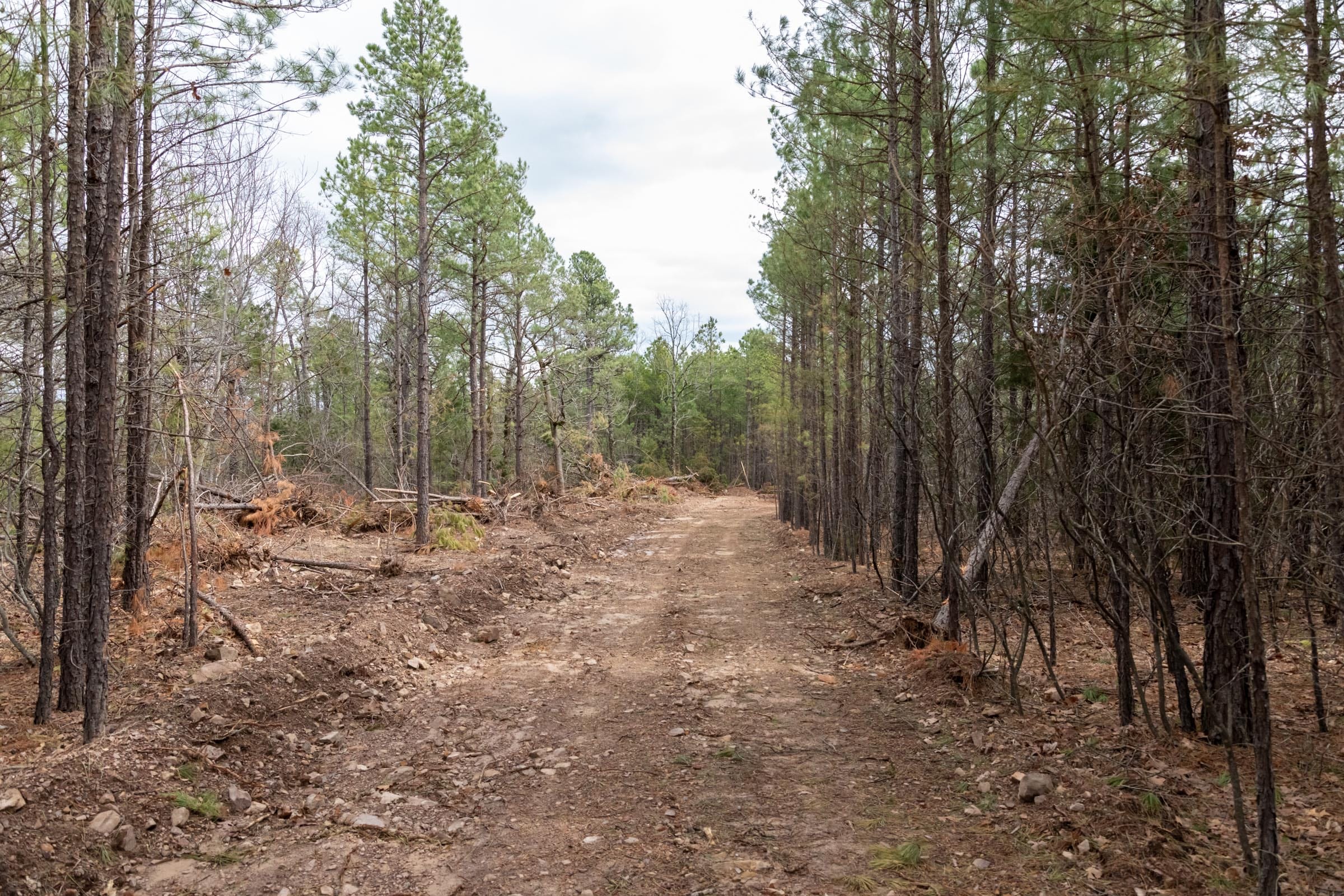 Stone Bridge Phase III Tract 205 photo 1