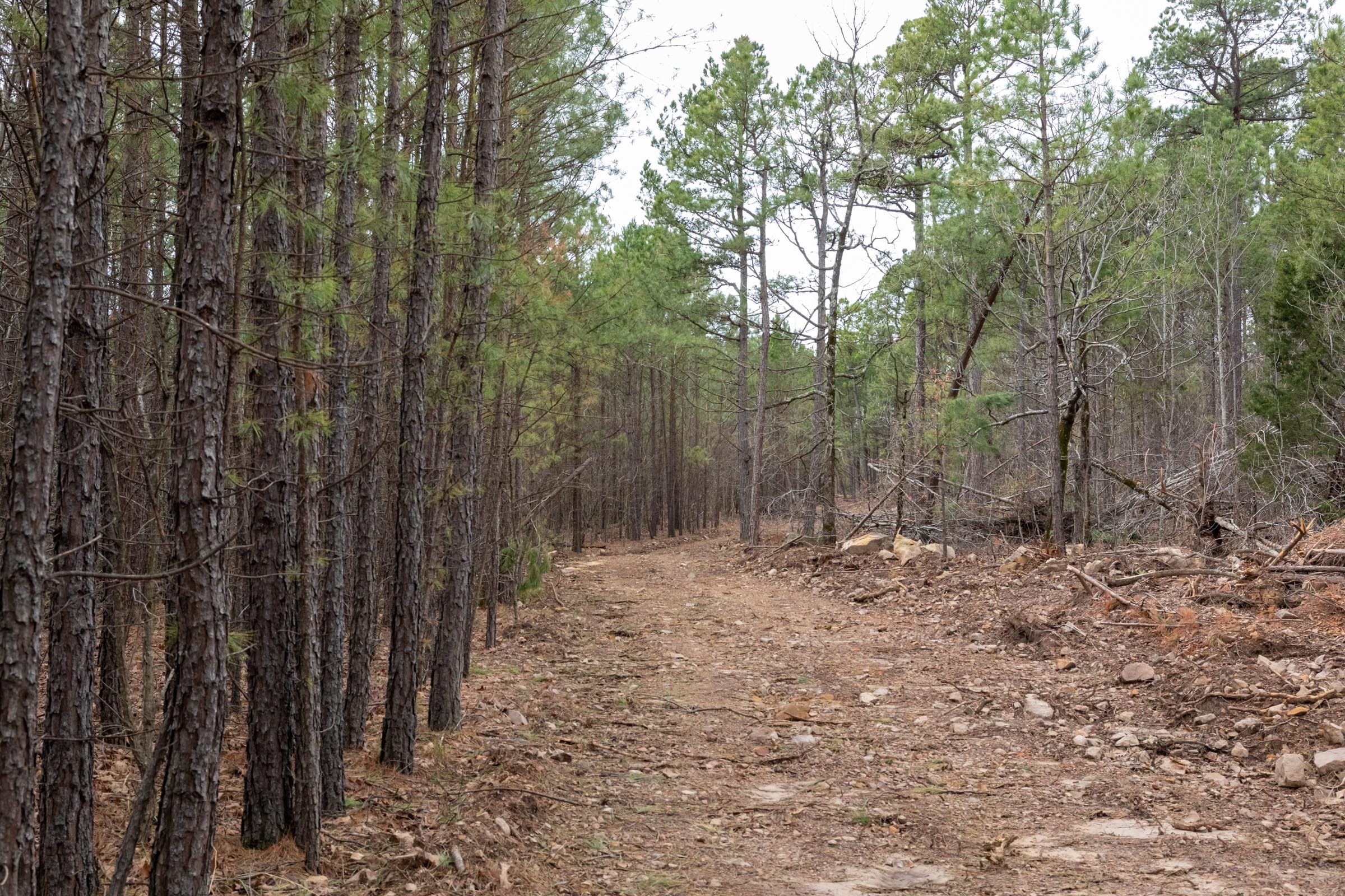 Stone Bridge Phase III Tract 205 photo 2