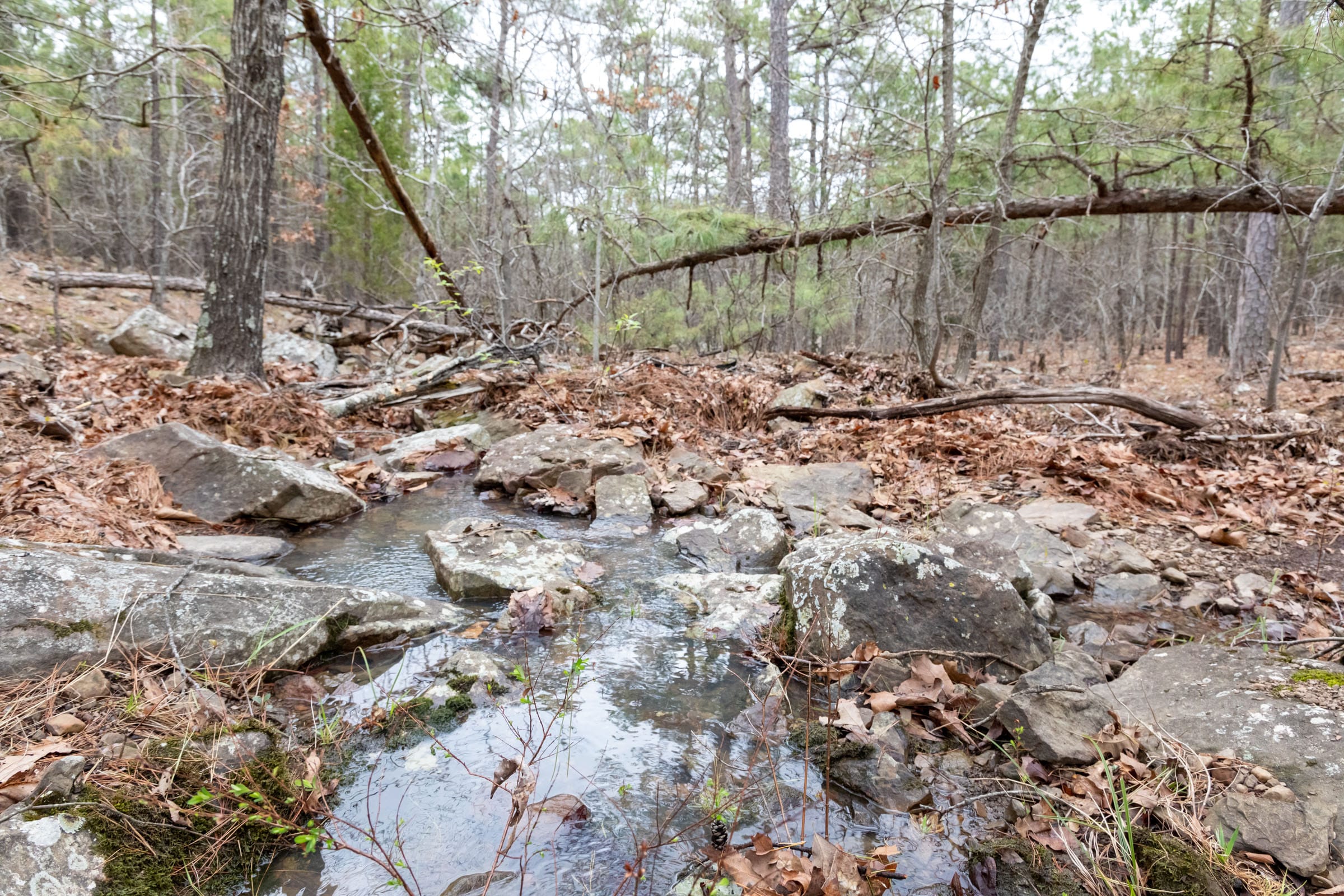 Stone Bridge Phase III Tract 205 photo 8