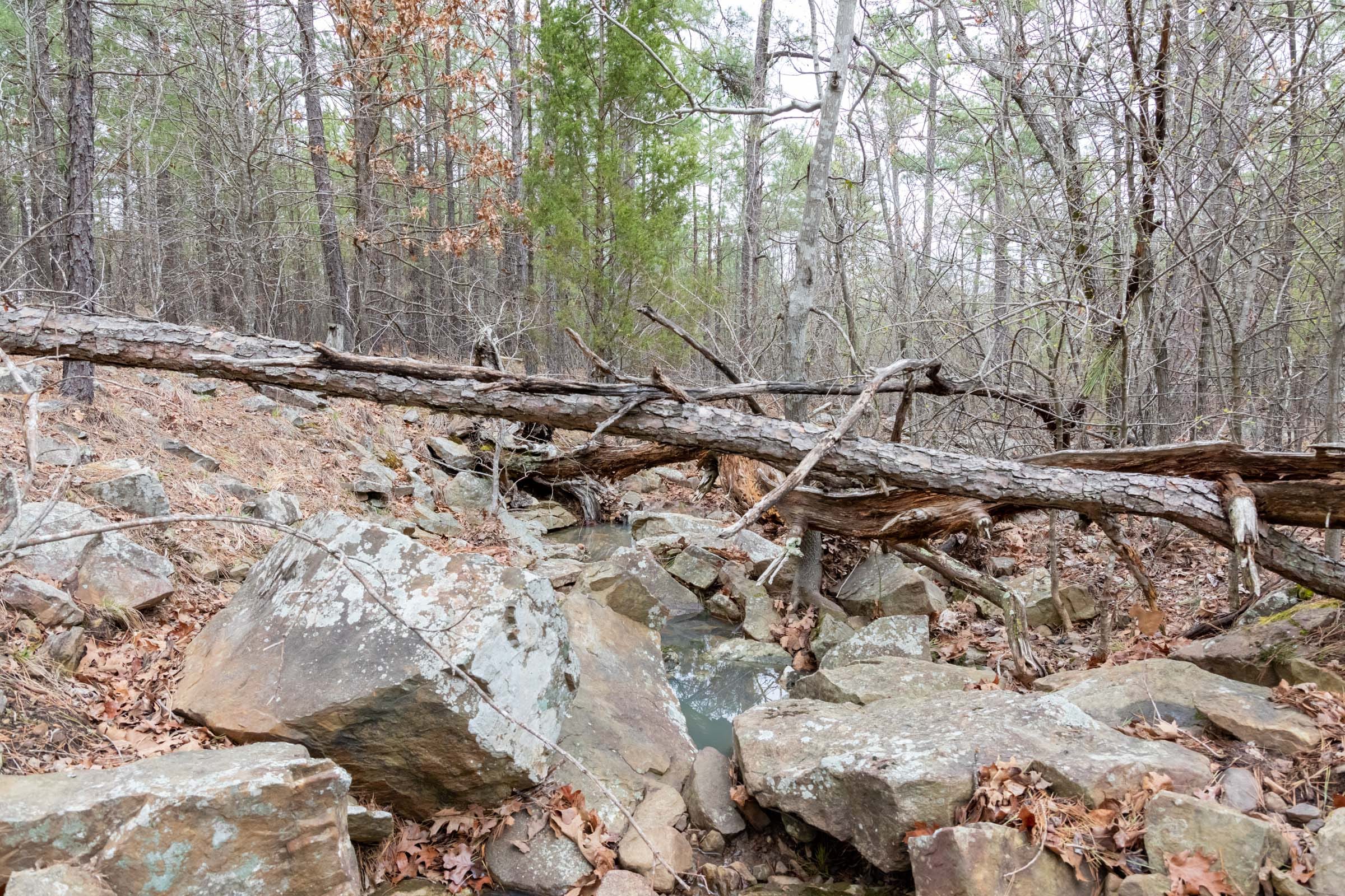 Stone Bridge Phase III Tract 205 photo 10