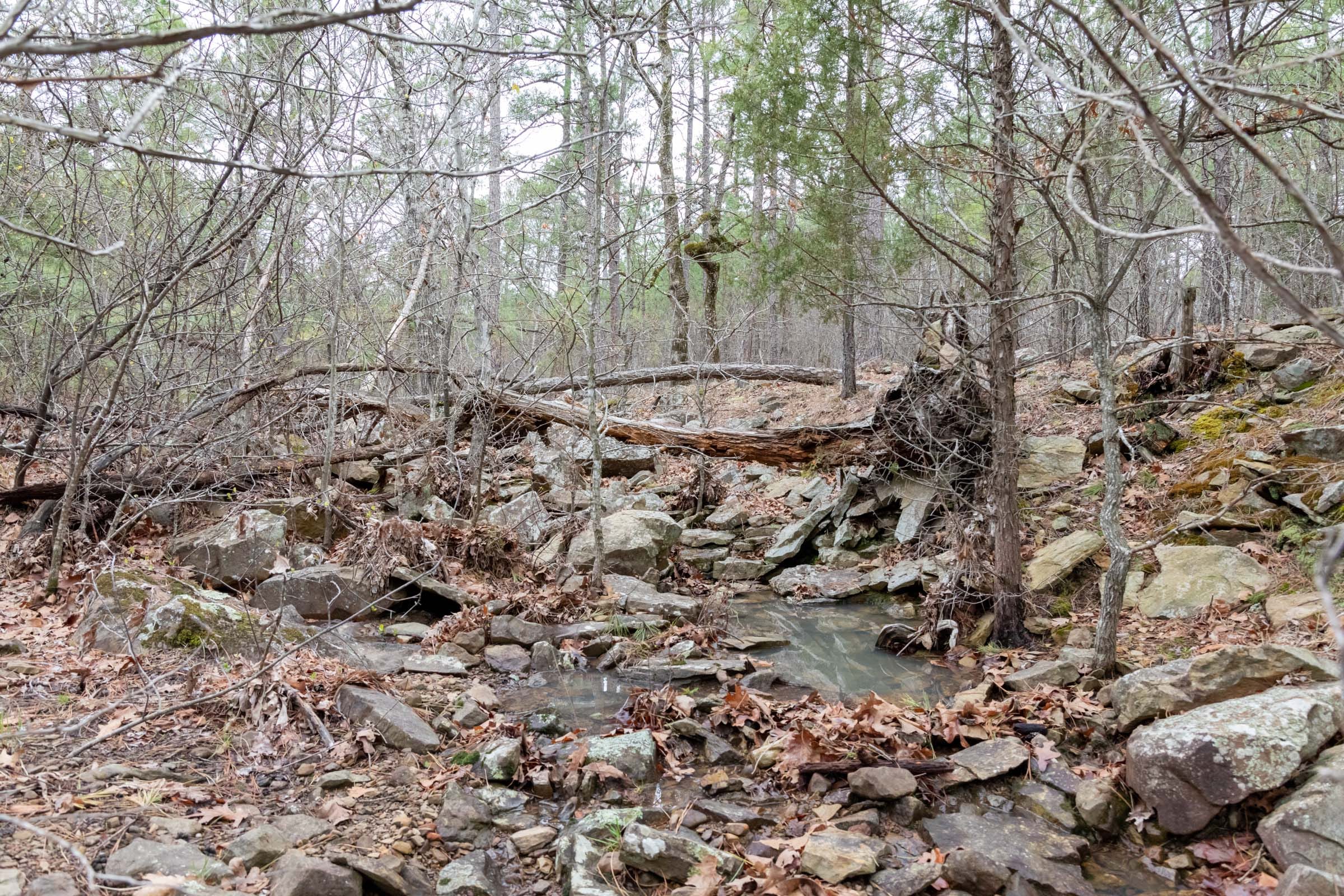 Stone Bridge Phase III Tract 205 photo 11