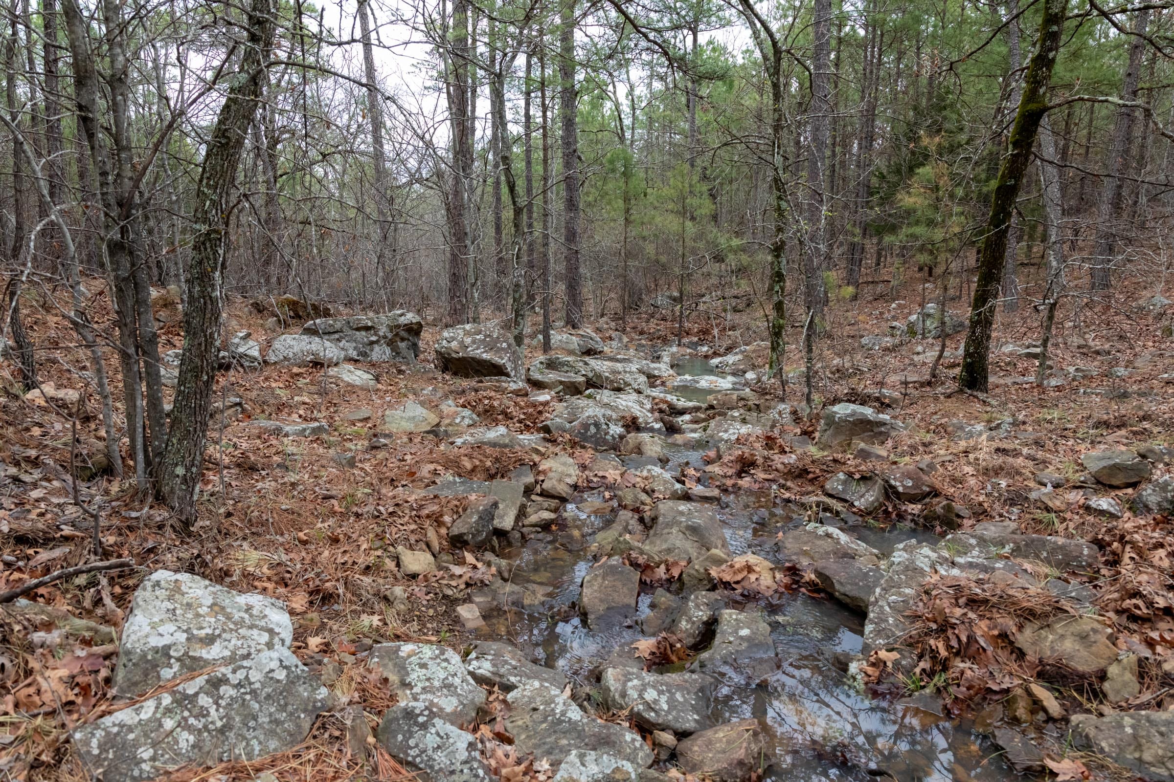 Stone Bridge Phase III Tract 205 photo 12