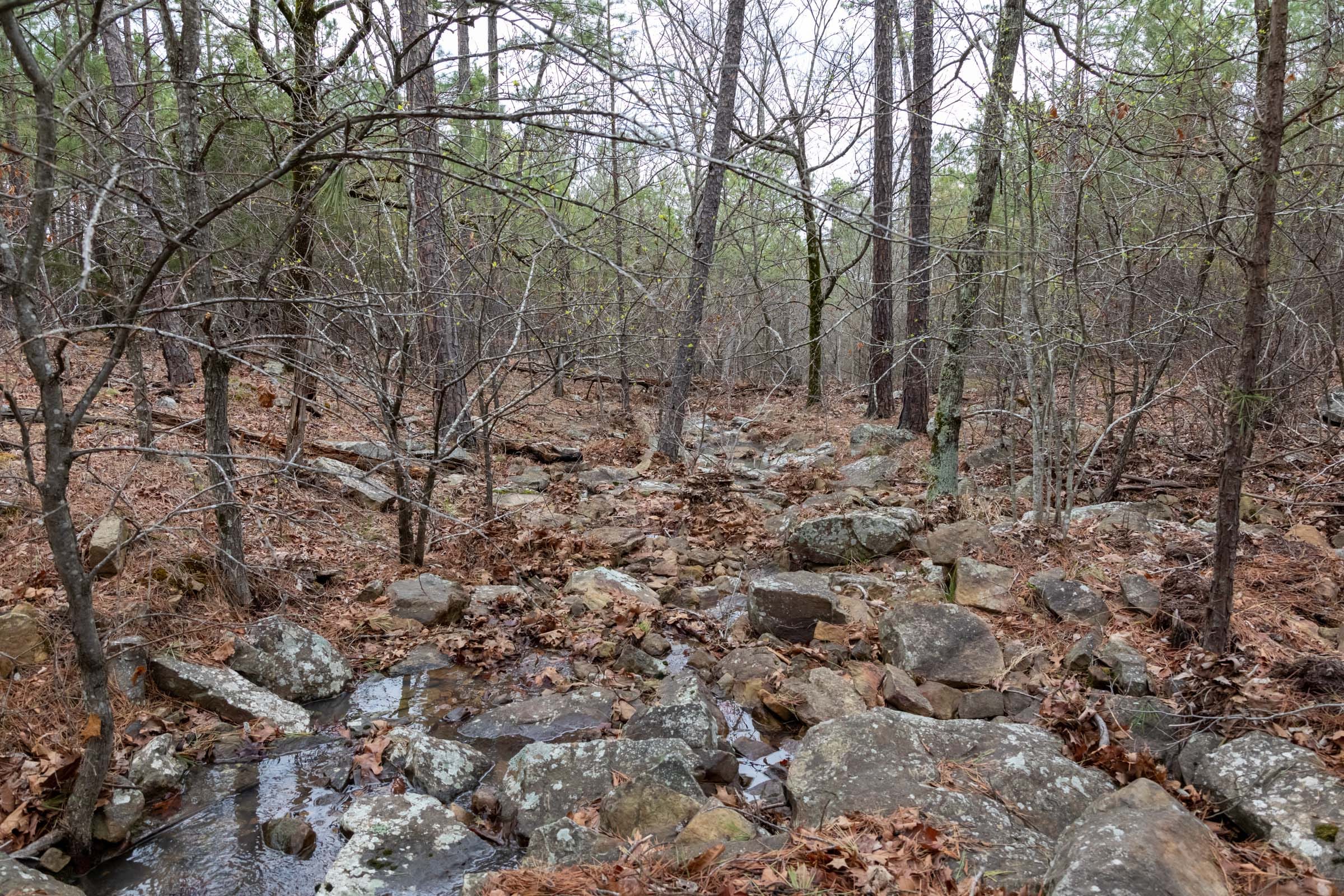 Stone Bridge Phase III Tract 205 photo 13