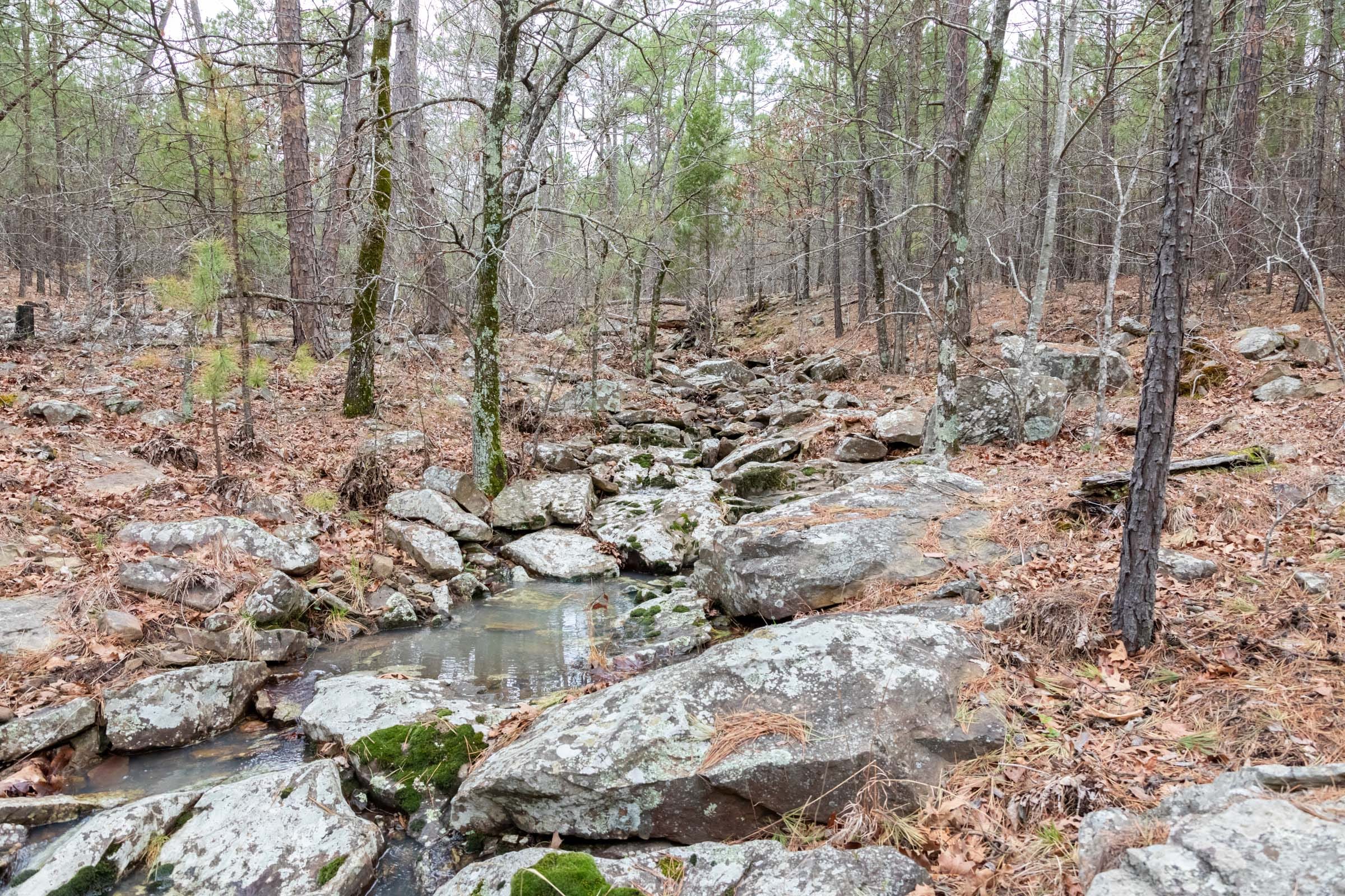 Stone Bridge Phase III Tract 205 photo 14