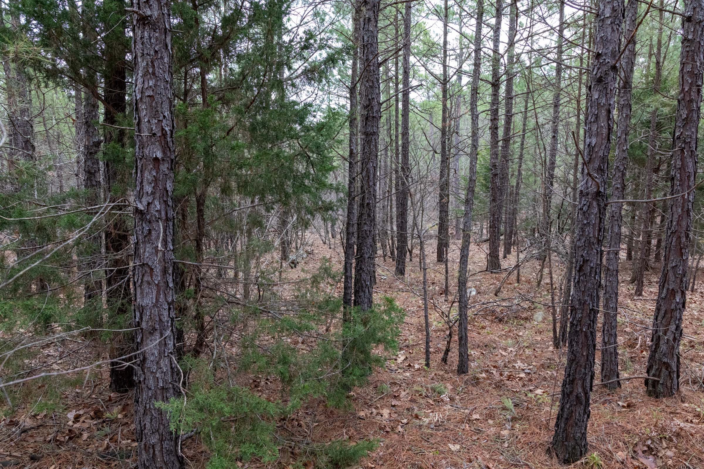 Stone Bridge Phase III Tract 205 photo 15
