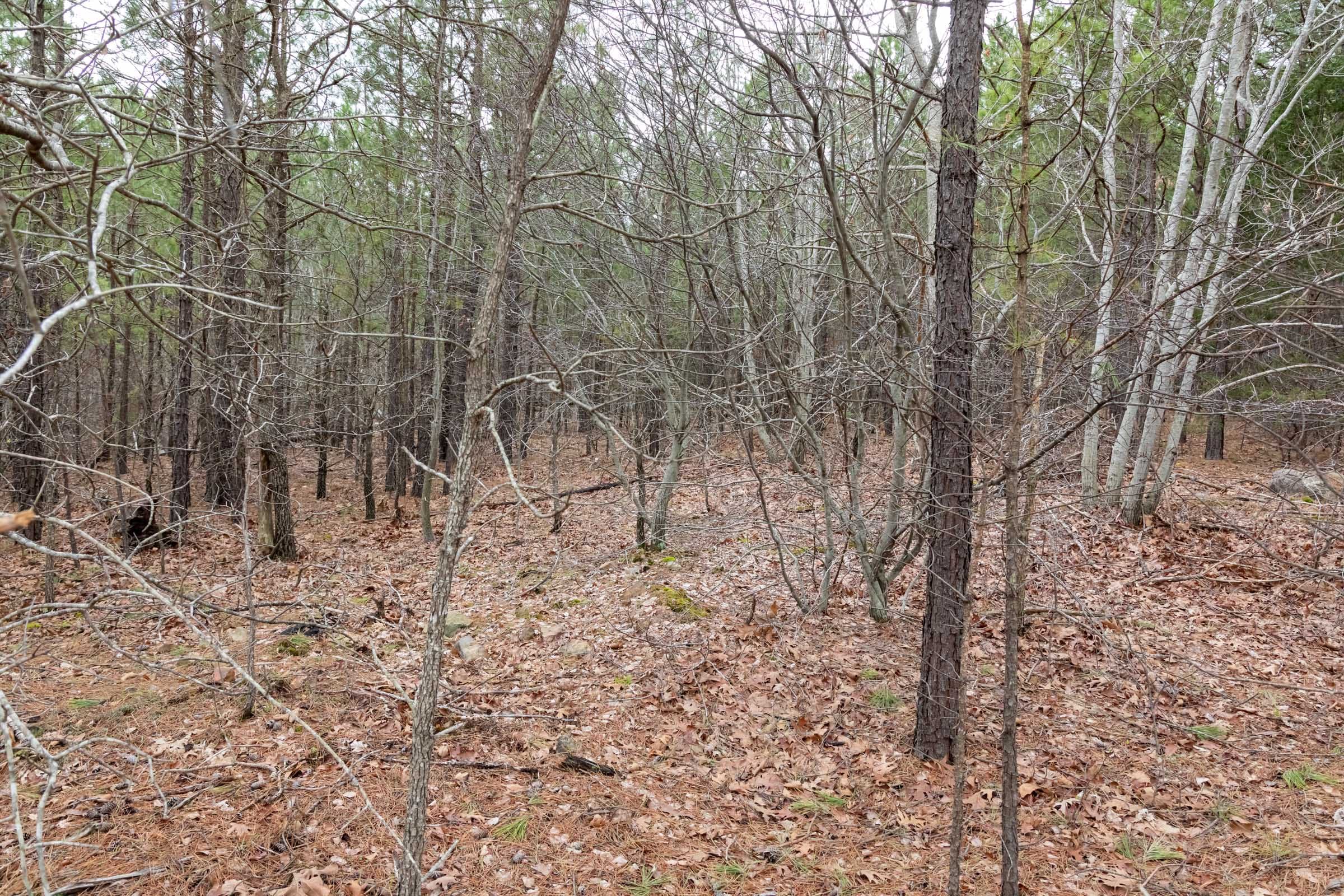 Stone Bridge Phase III Tract 205 photo 18