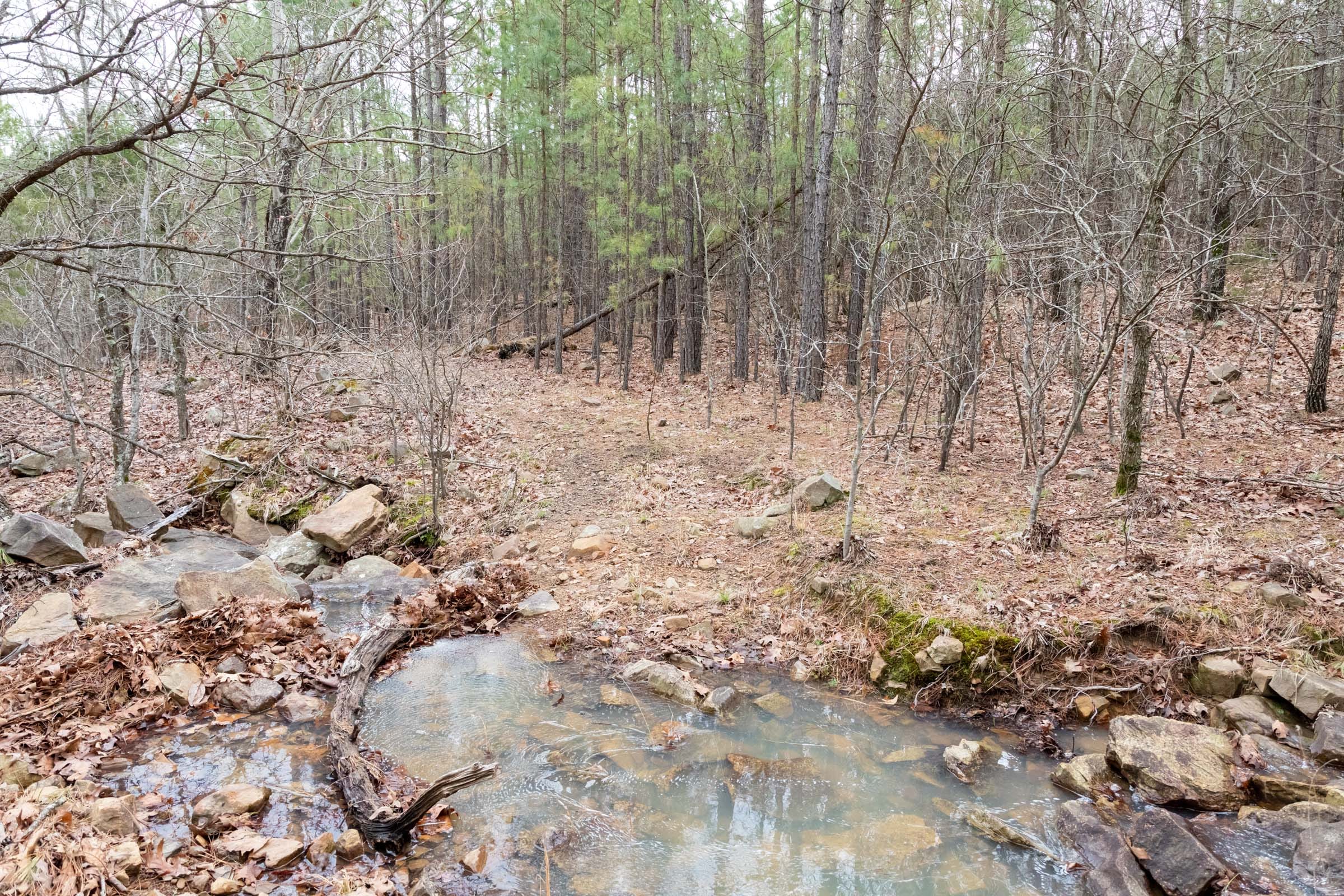 Stone Bridge Phase III Tract 205 photo 20