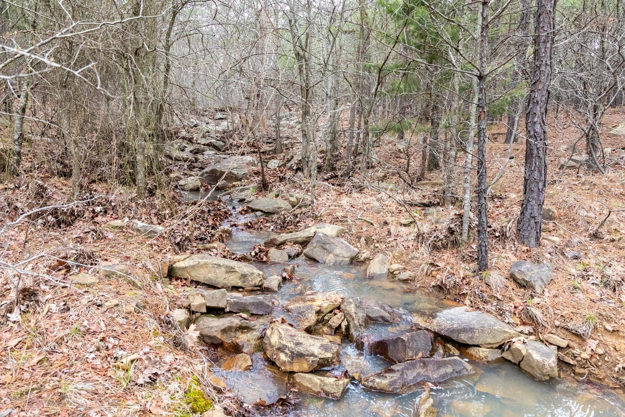 Stone Bridge Phase III Tract 205 photo 22