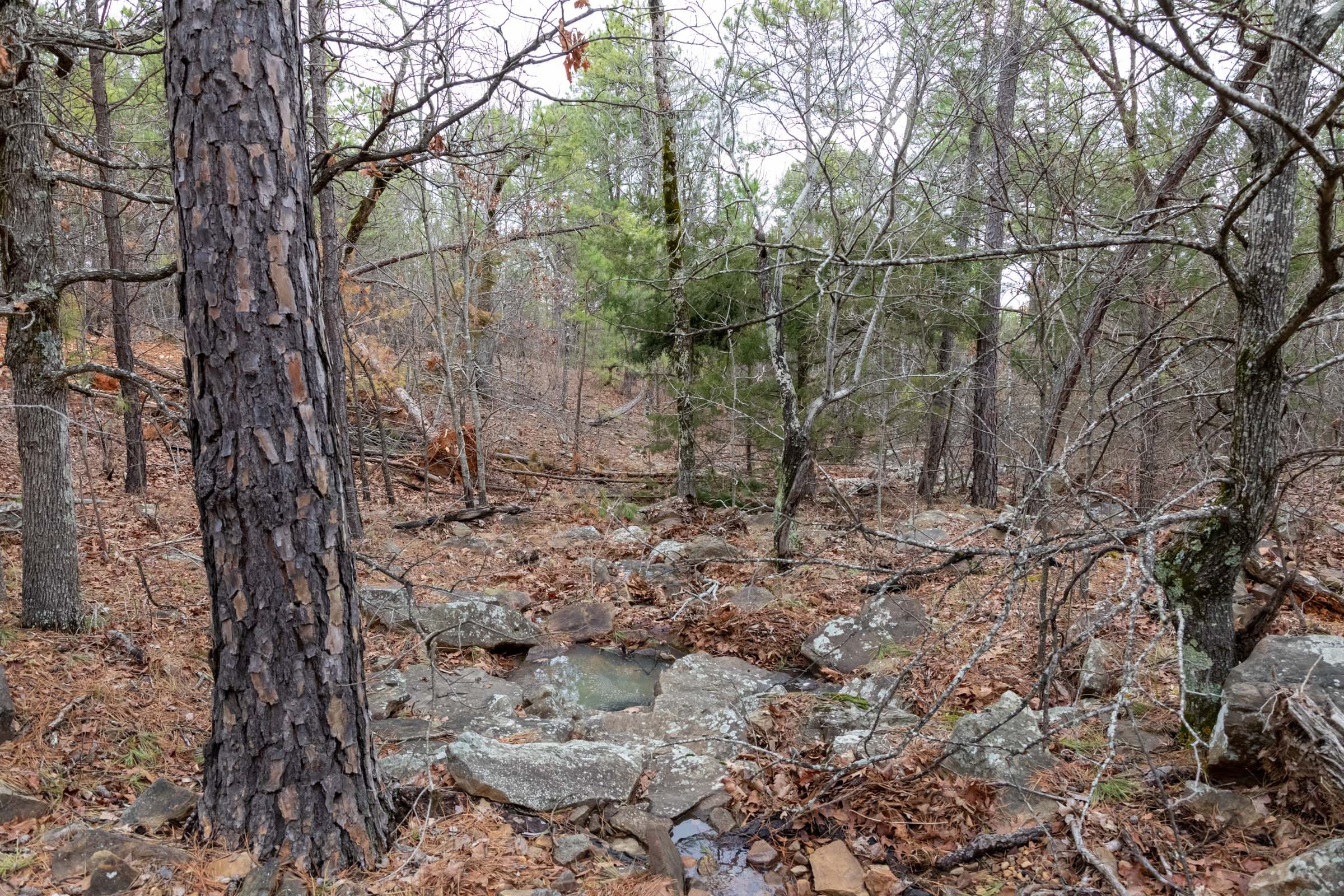 Stone Bridge Phase III Tract 205 photo 23