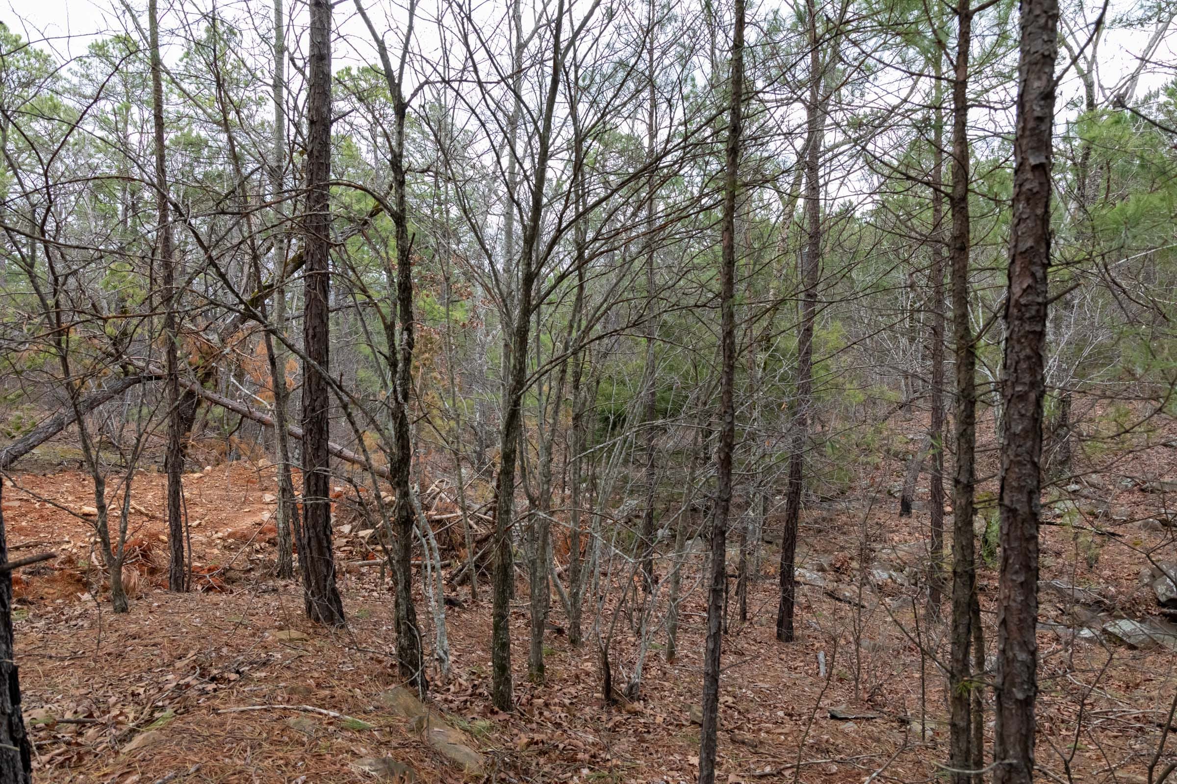 Stone Bridge Phase III Tract 205 photo 26