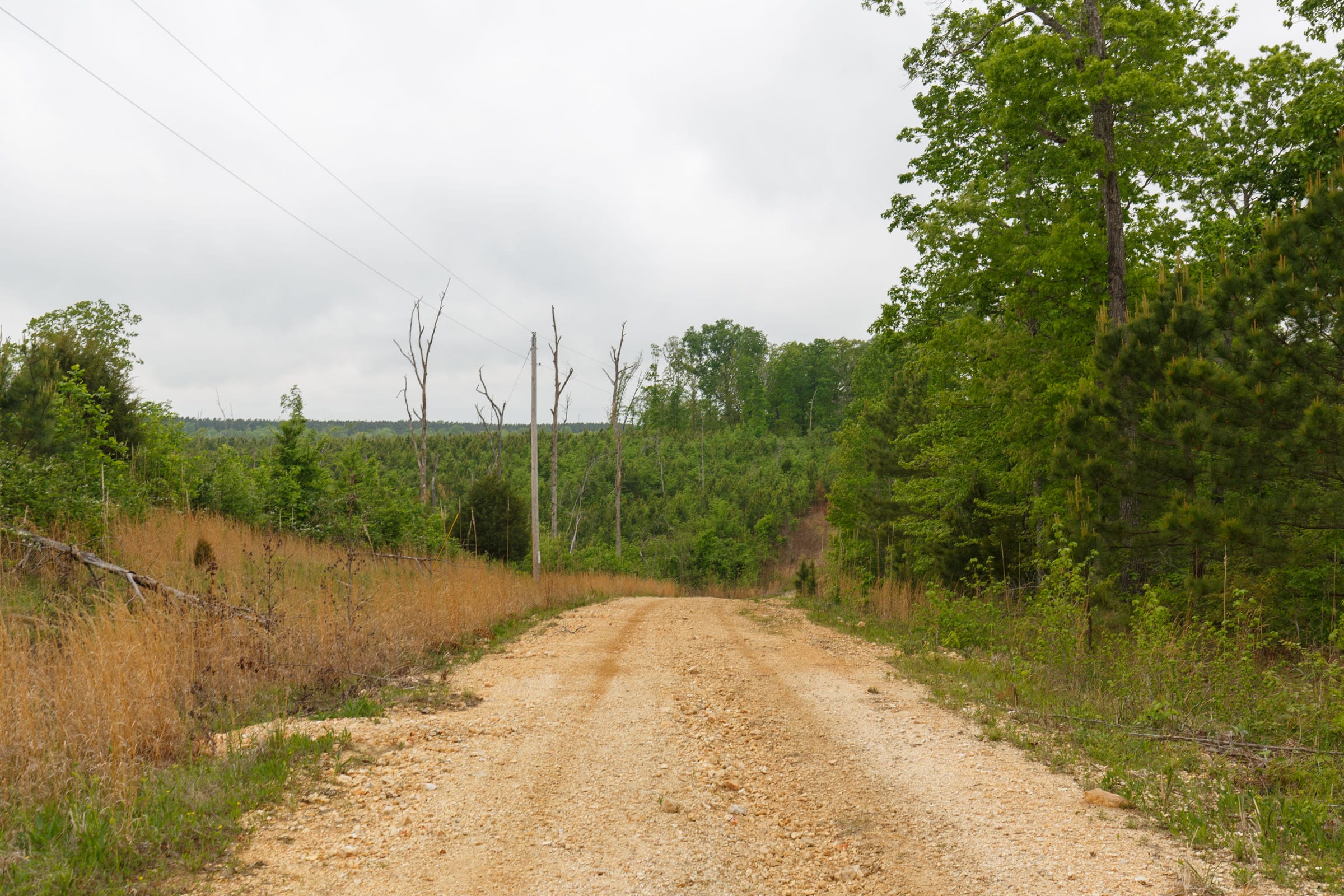 Red Barn Ranch Tract 10 photo 6