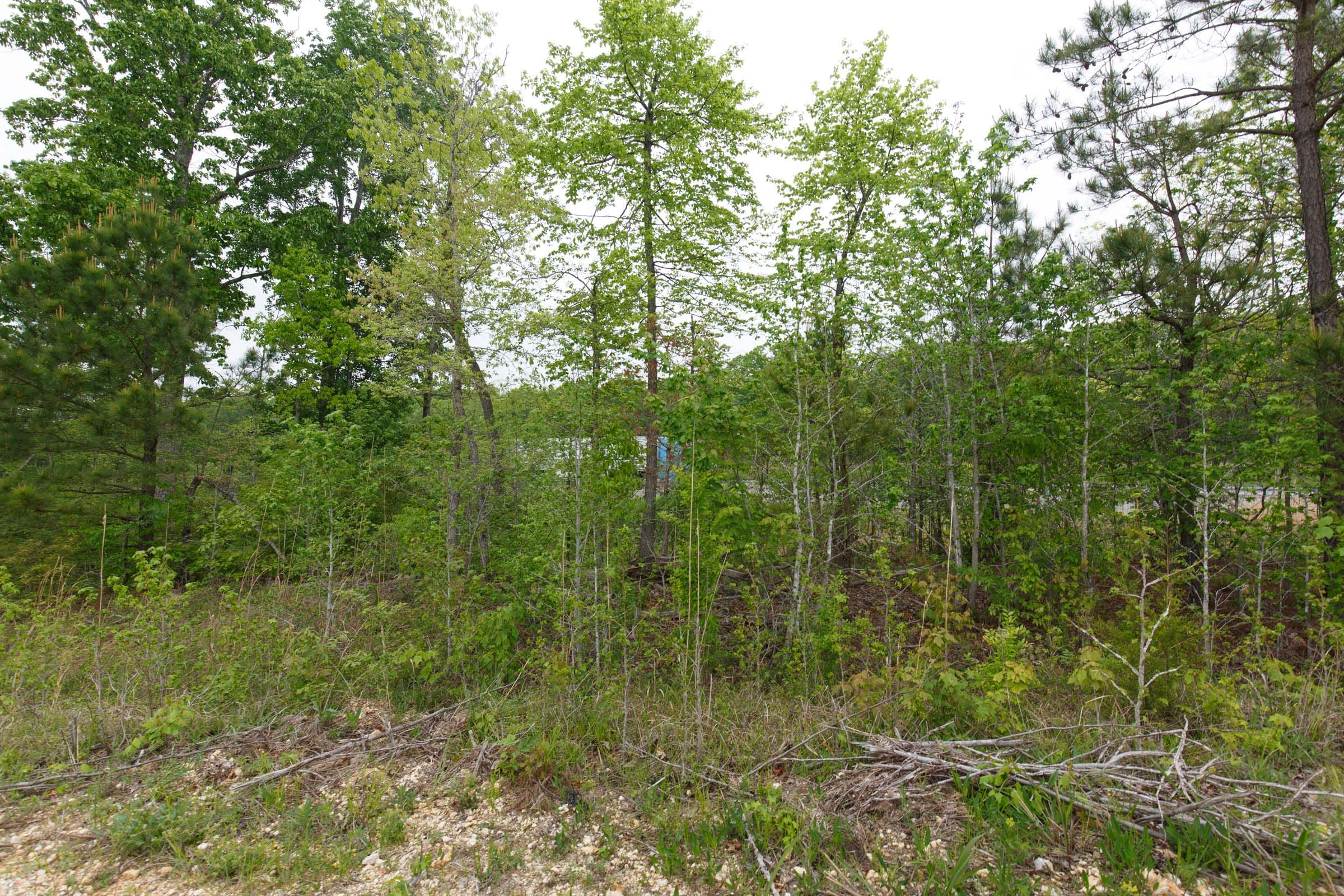 Red Barn Ranch Tract 10 photo 3