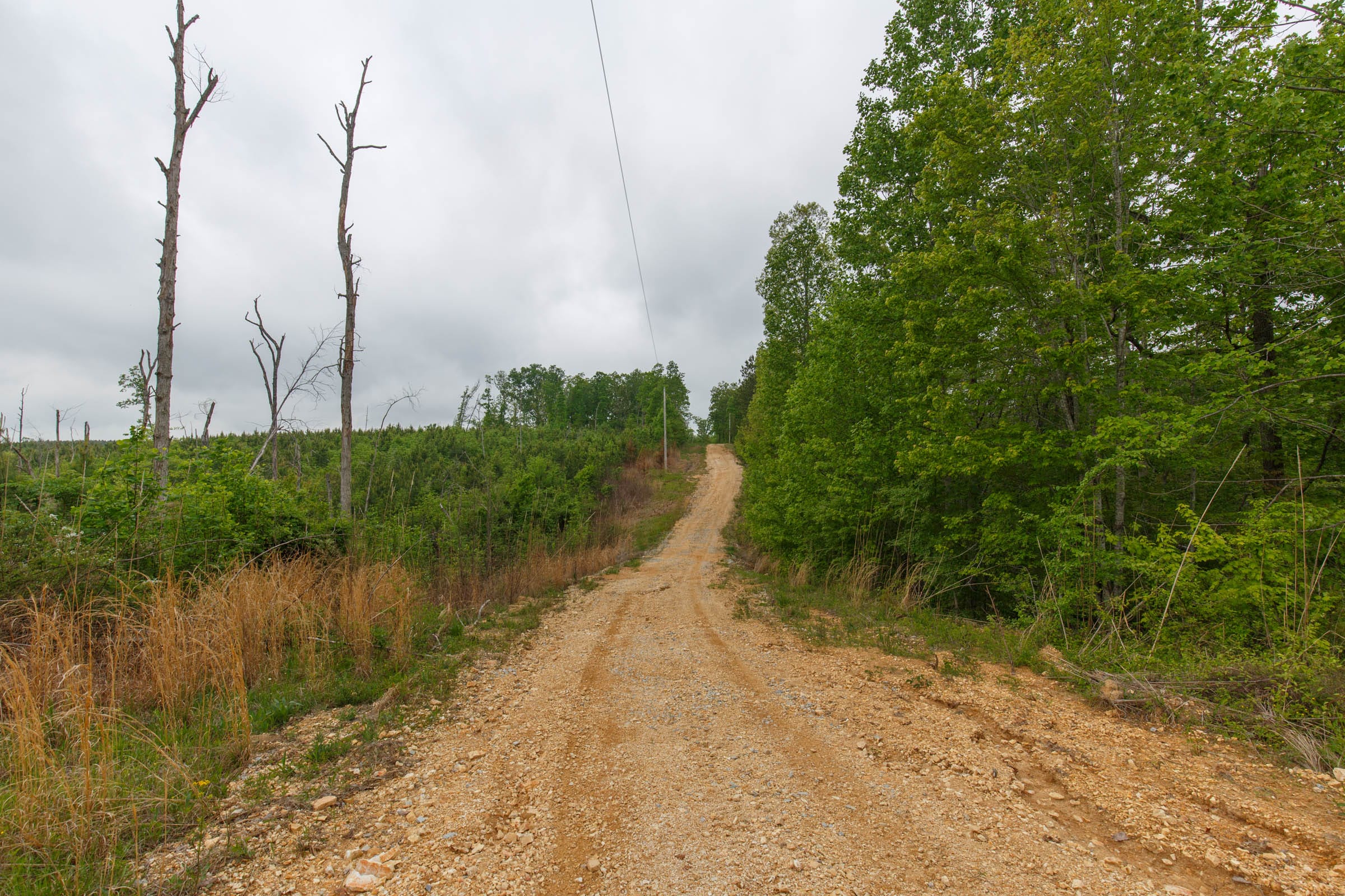 Red Barn Ranch Tract 10 photo 1