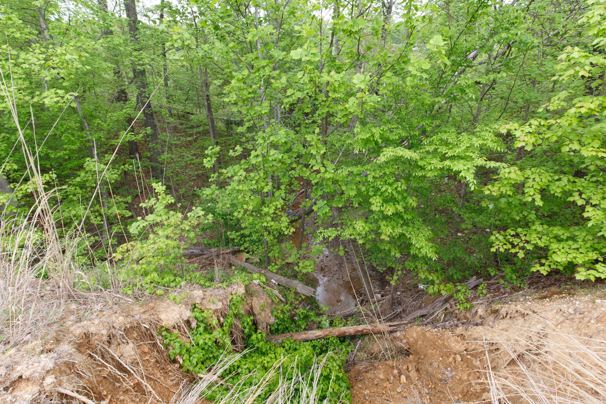 Red Barn Ranch Tract 10 photo 5