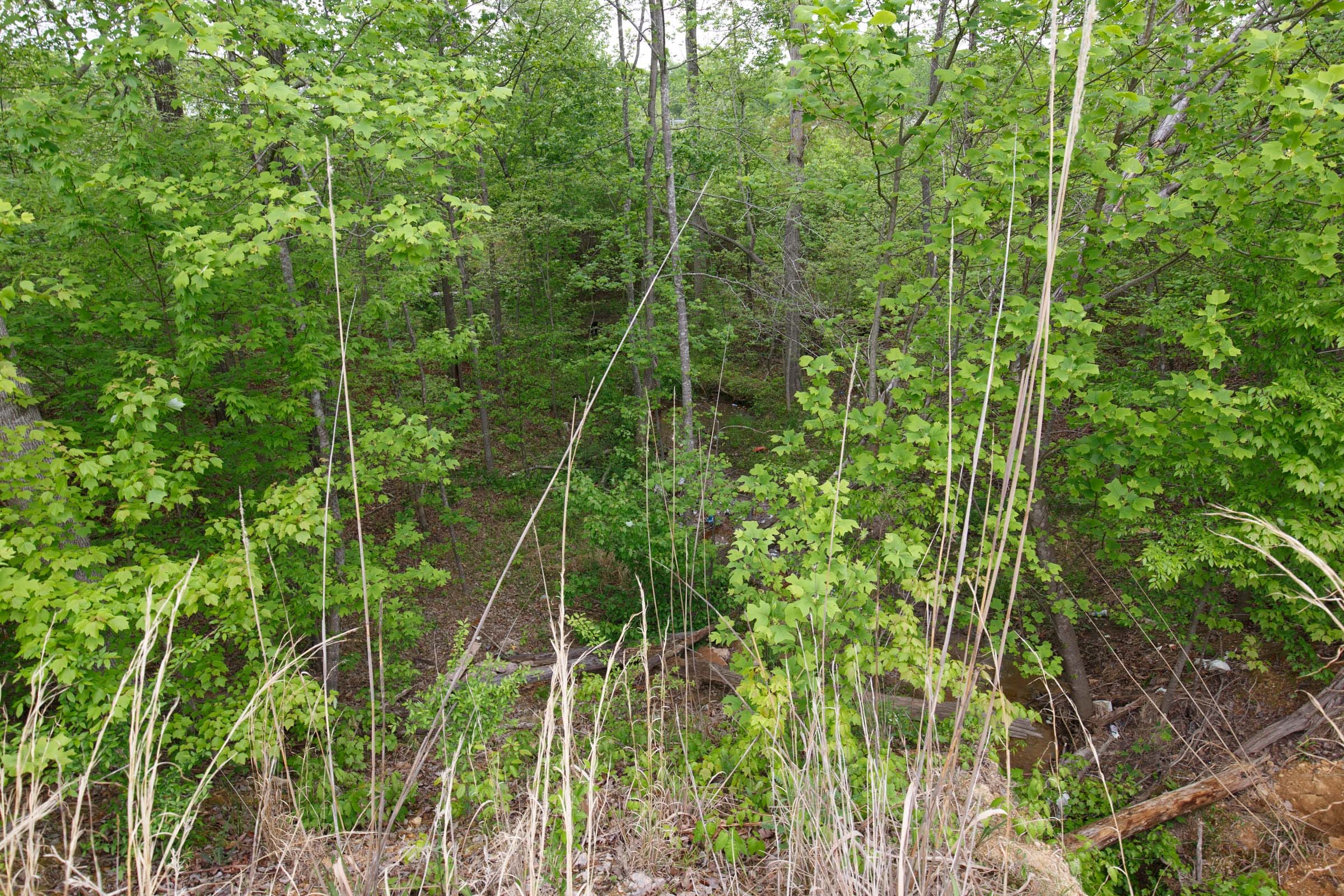 Red Barn Ranch Tract 10 photo 7