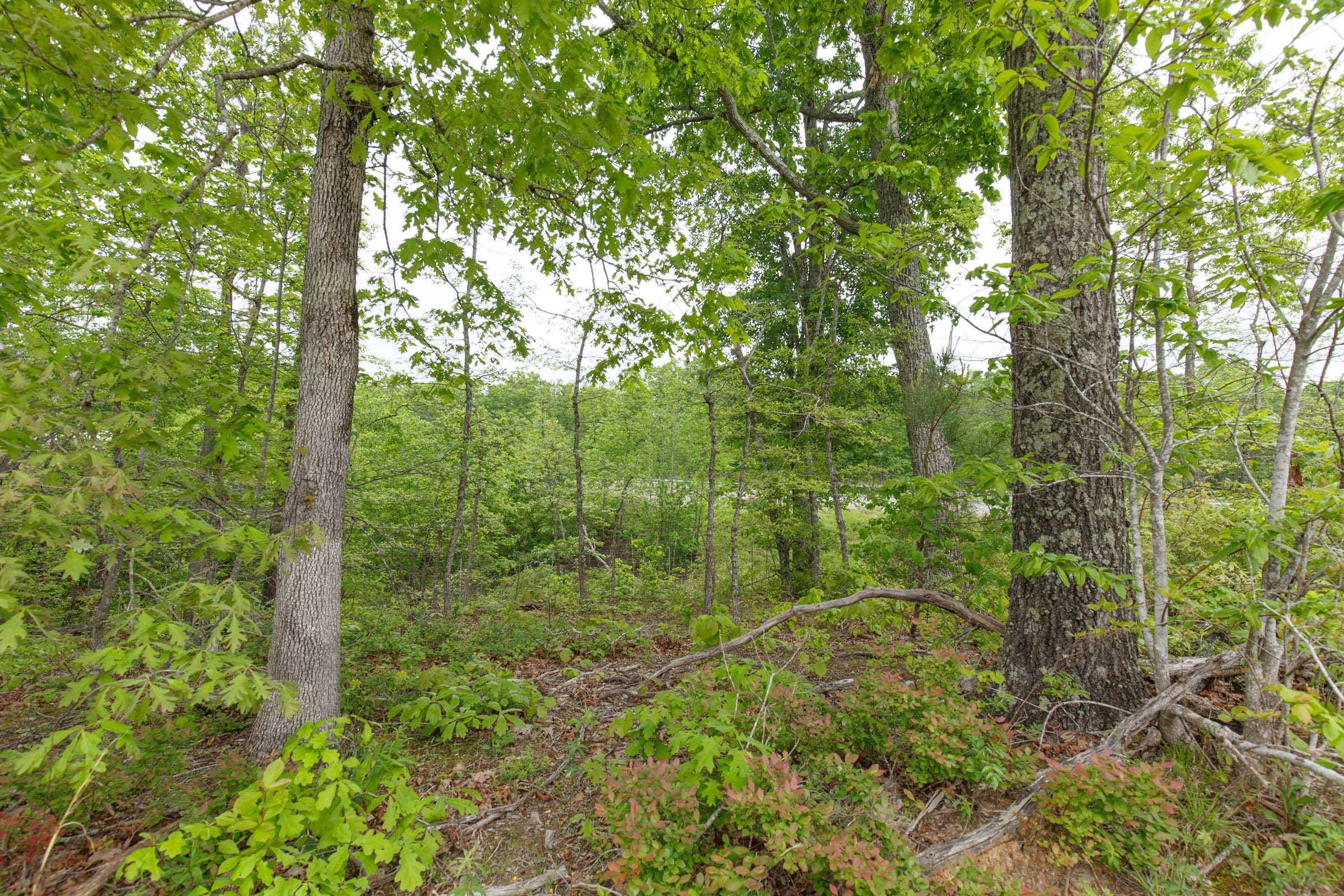 Red Barn Ranch Tract 10 photo 8