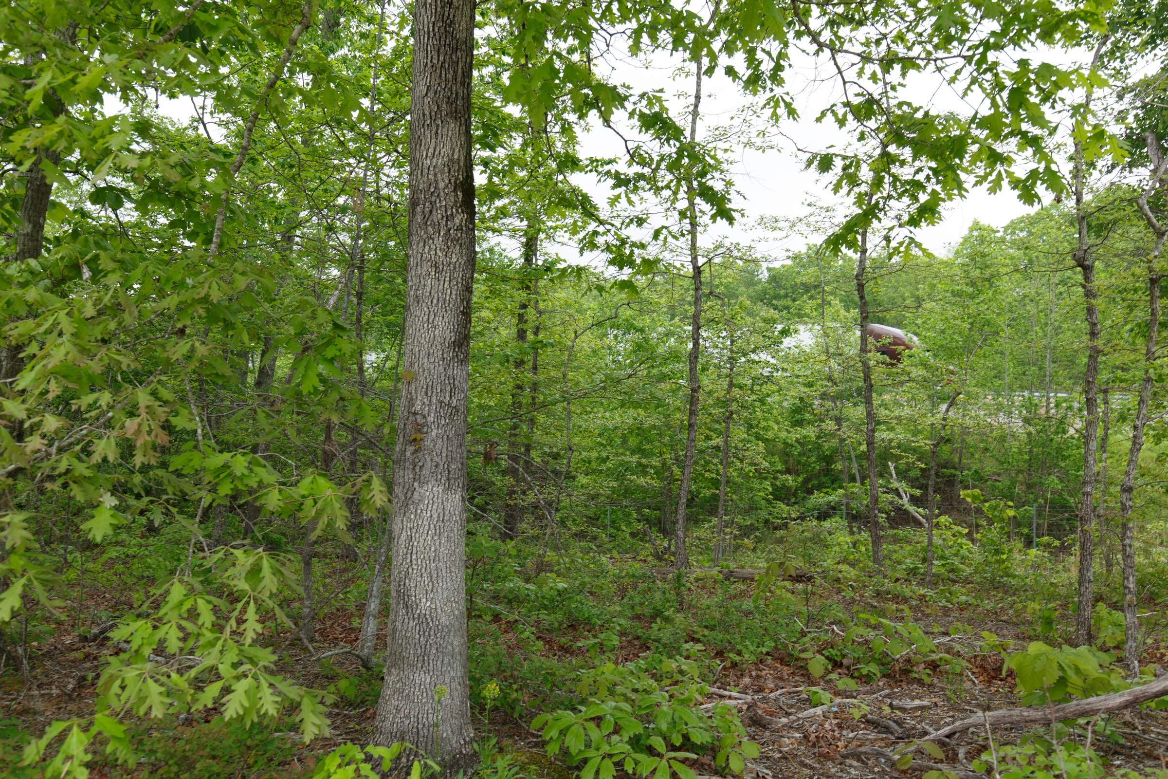 Red Barn Ranch Tract 10 photo 9