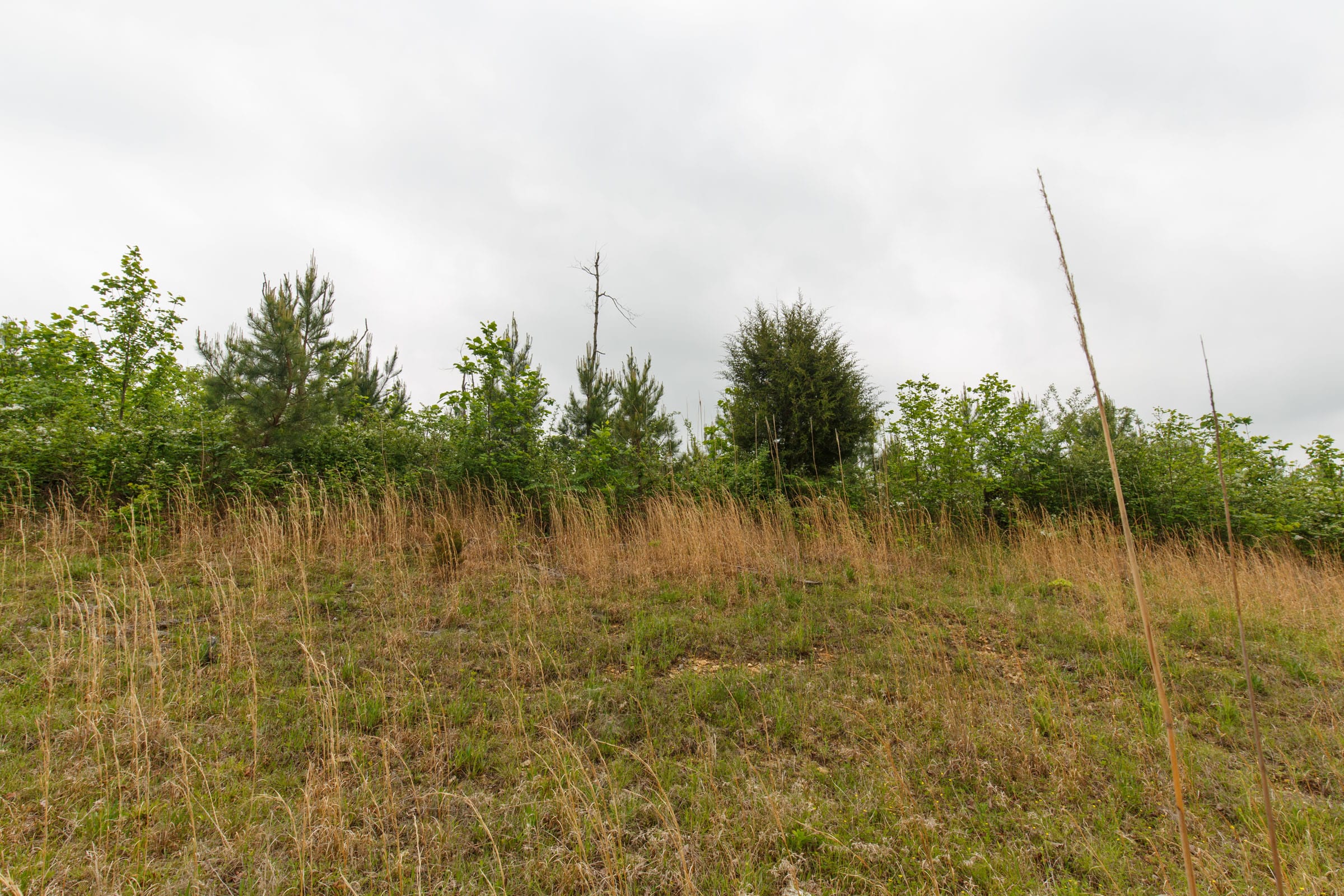 Red Barn Ranch Tract 10 photo 10