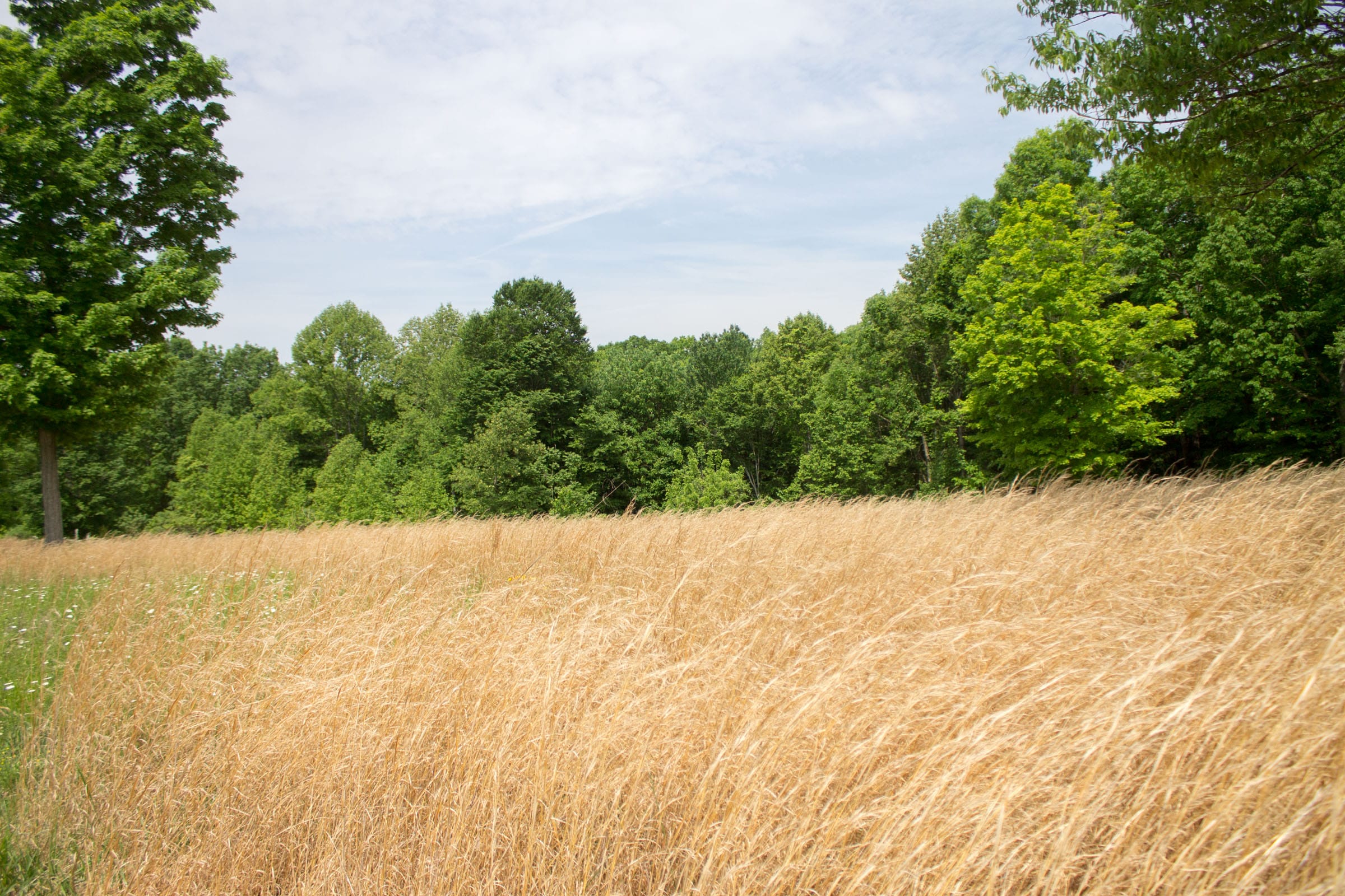 Laurel Ridge Tract 9 photo 1
