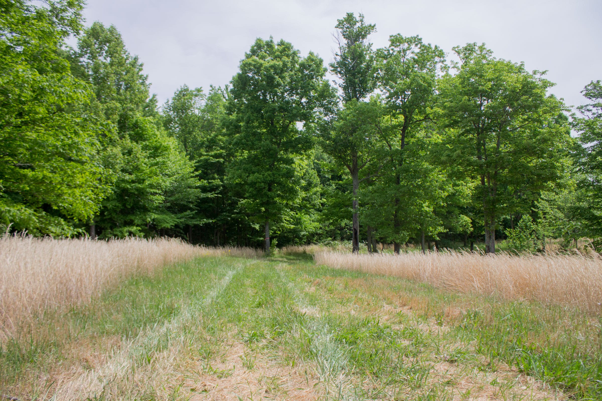 Laurel Ridge Tract 9 photo 2