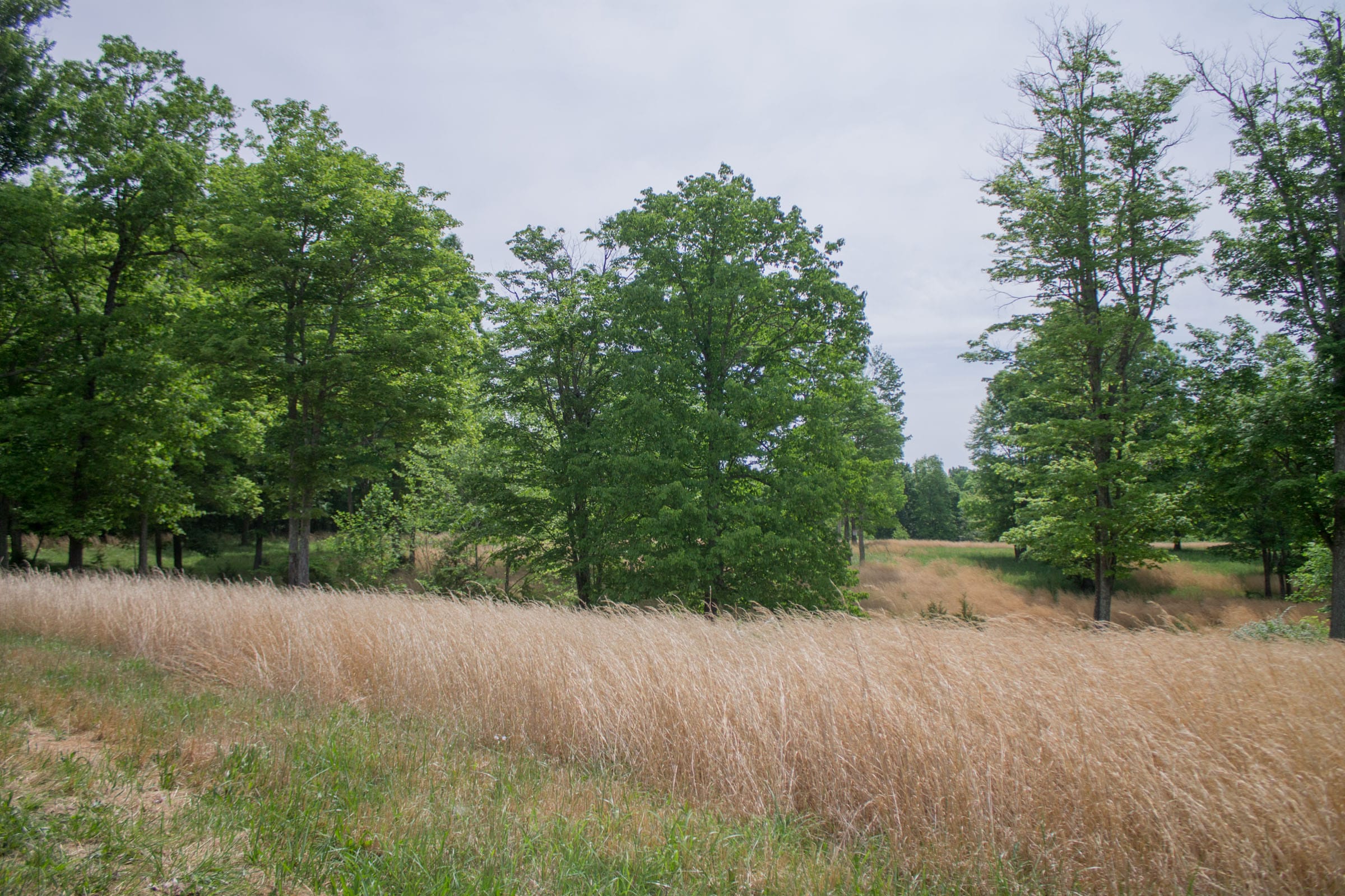 Laurel Ridge Tract 9 photo 3