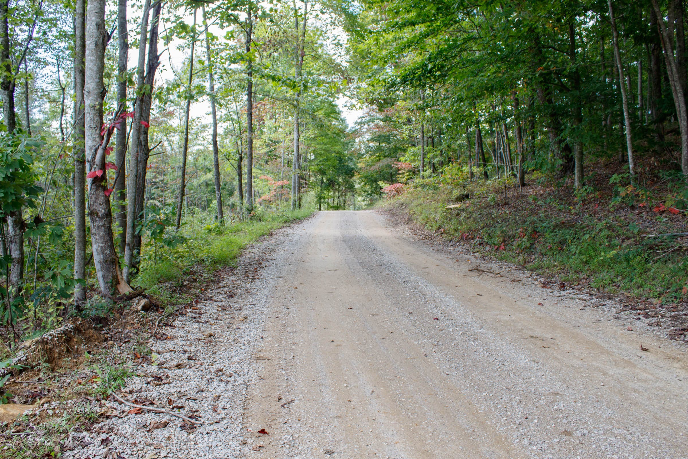 Wounded Oak Tract 16 photo 1