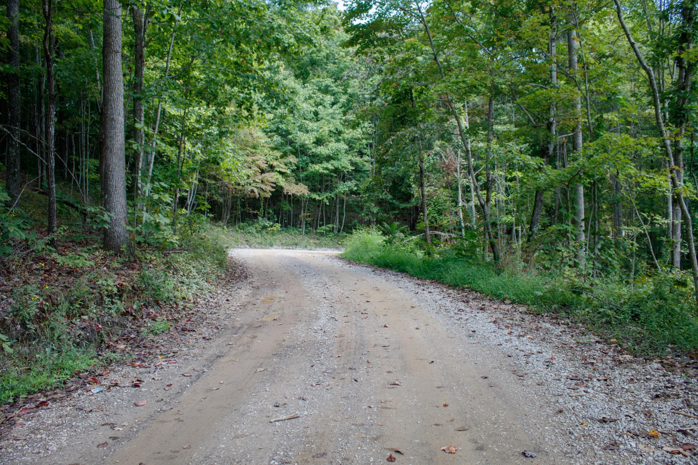 Wounded Oak Tract 16 photo 6