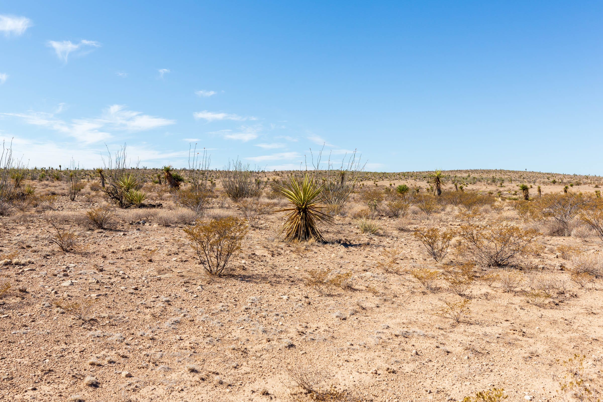 Sunrise Ranches Phase IV Tract 154 photo 10
