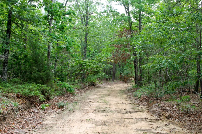 Trophy Ridge Phase II Tract 61 photo 1