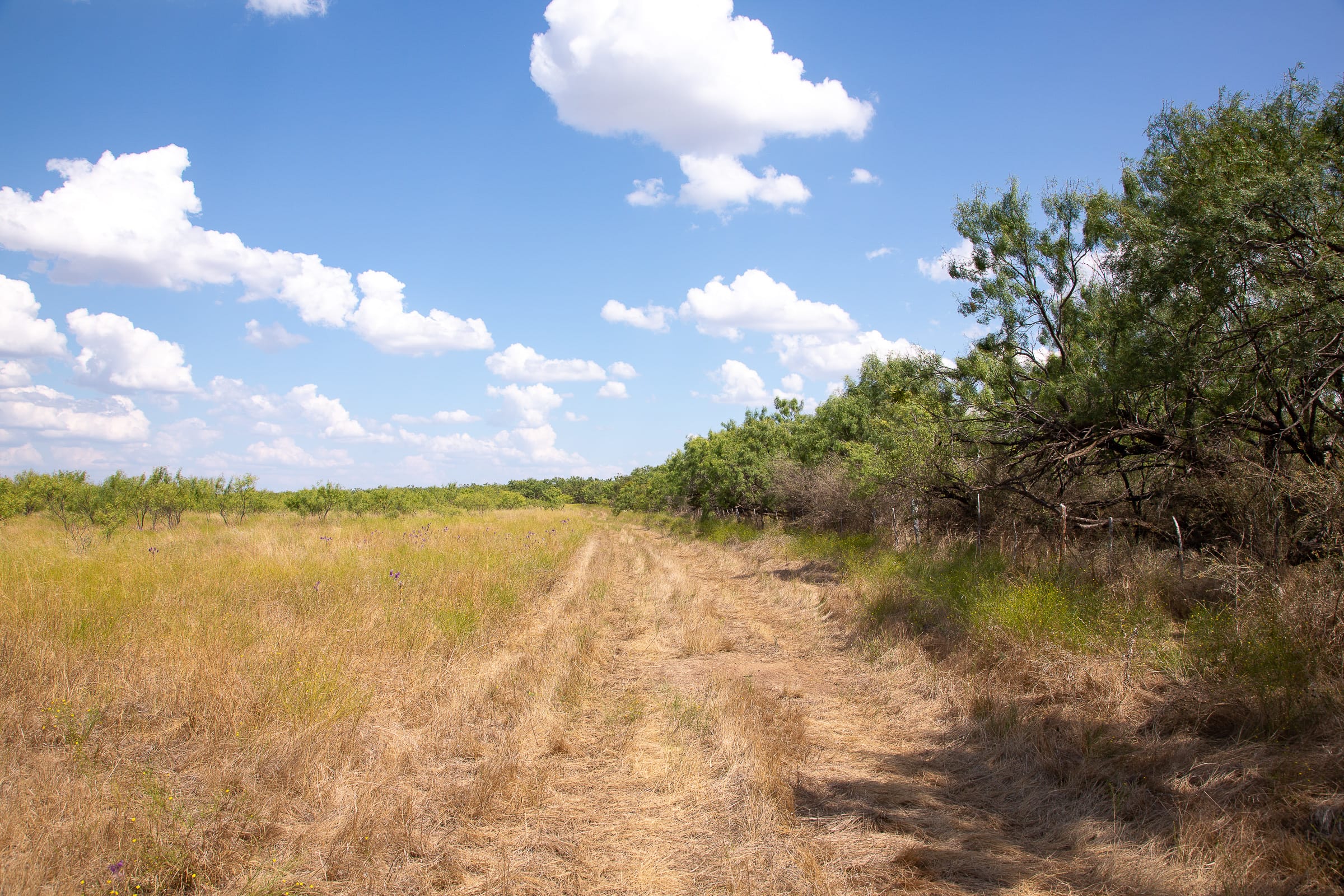 Hunter’s Ranch Tract 16 photo 1