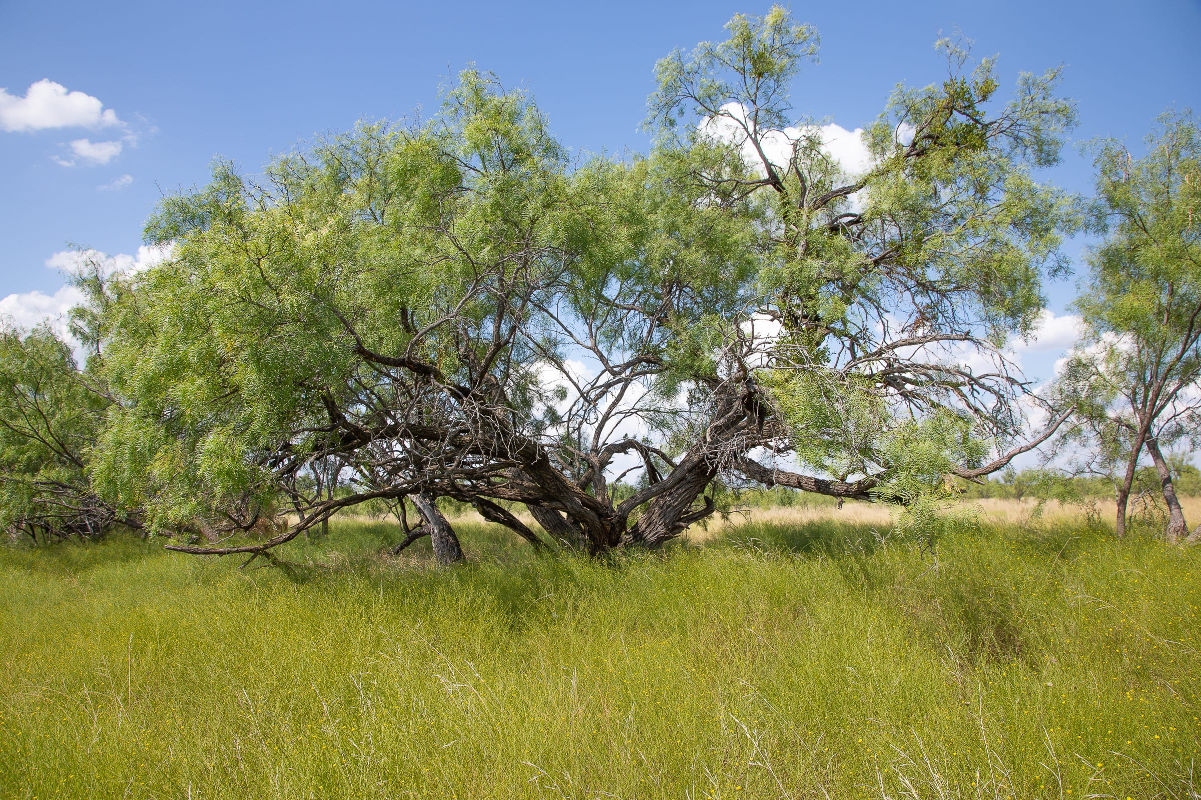 Hunter’s Ranch Tract 16 photo 6