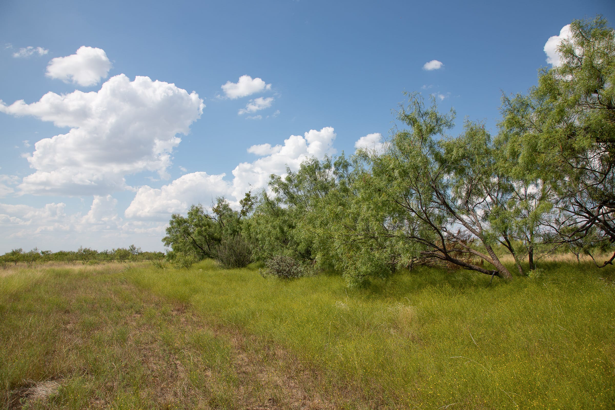 Hunter’s Ranch Tract 16 photo 7