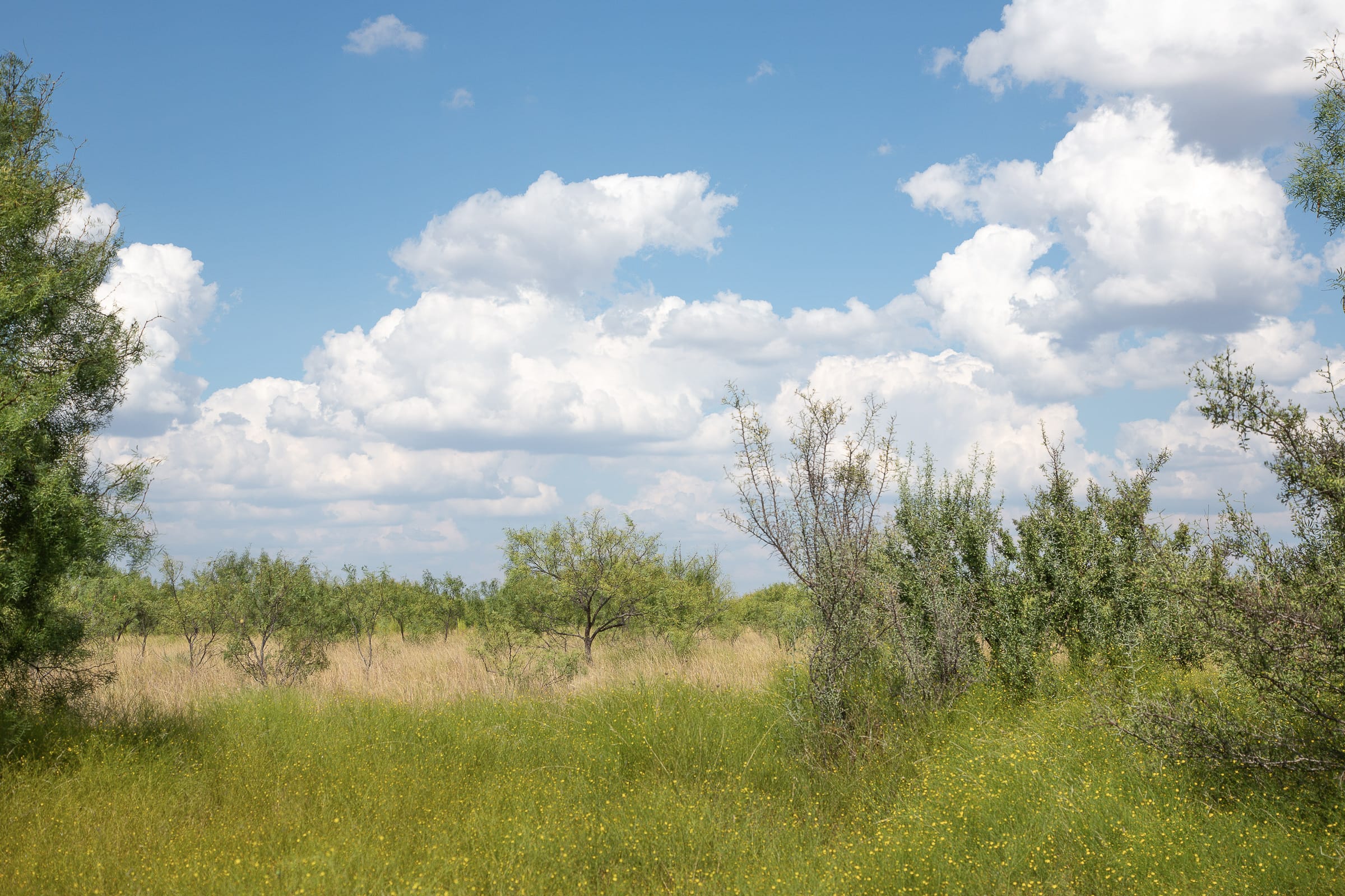 Hunter’s Ranch Tract 16 photo 8