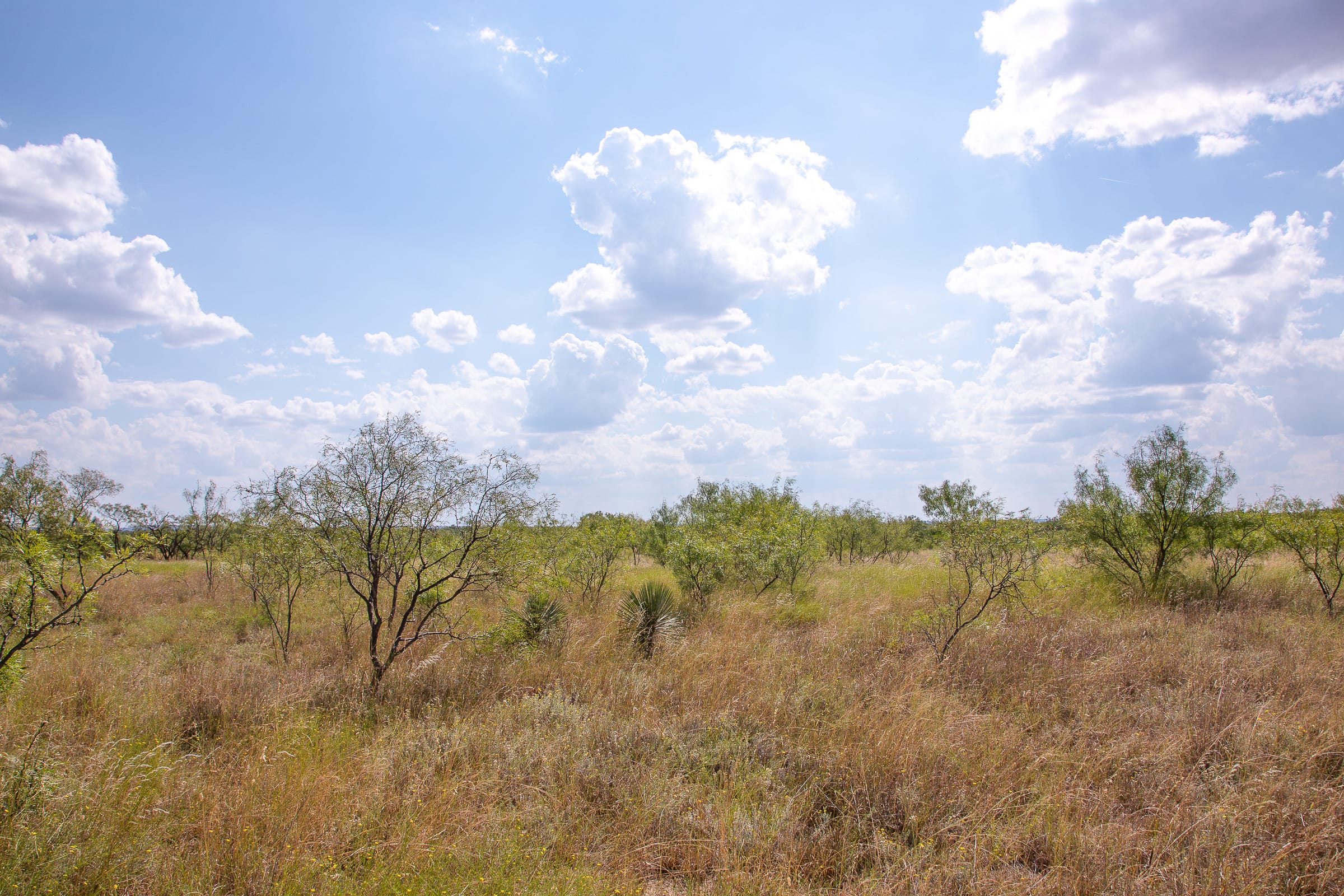 Hunter’s Ranch Tract 16 photo 9