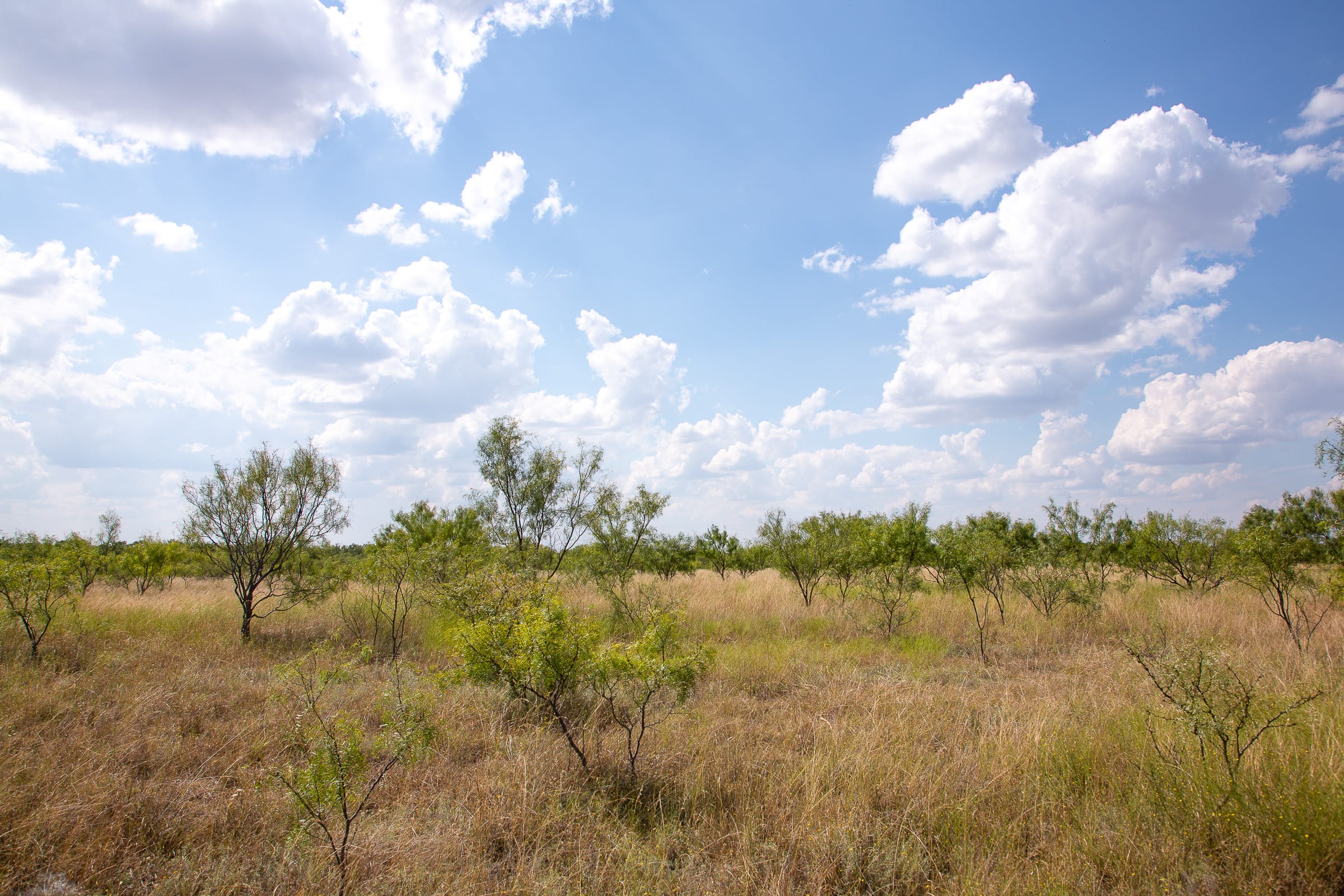 Hunter’s Ranch Tract 16 photo 10