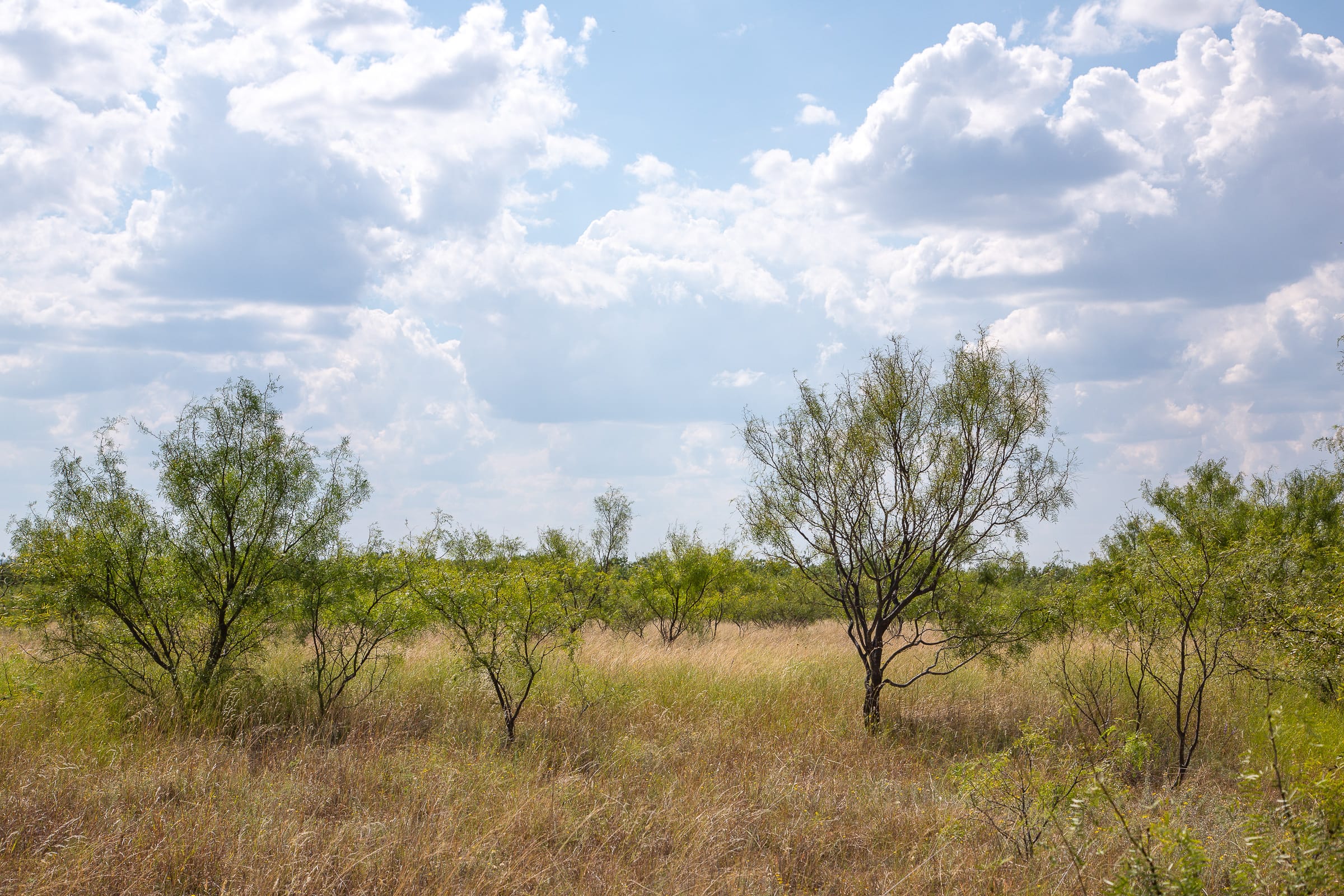 Hunter’s Ranch Tract 16 photo 11